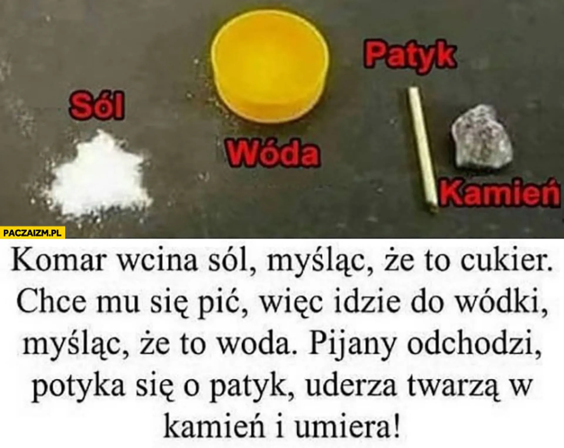 Pułapka na komara
