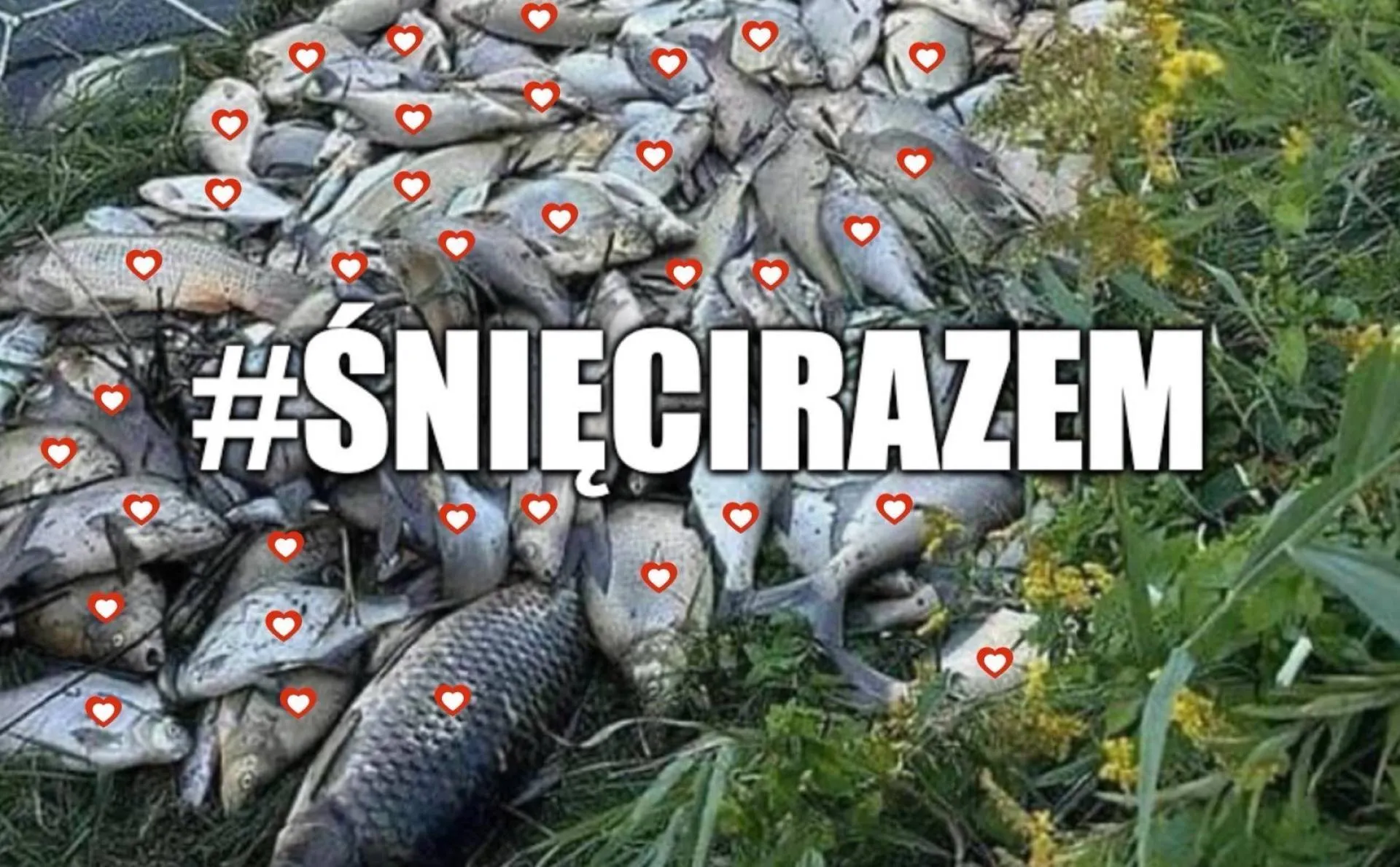 W uśmiechniętej Polsce