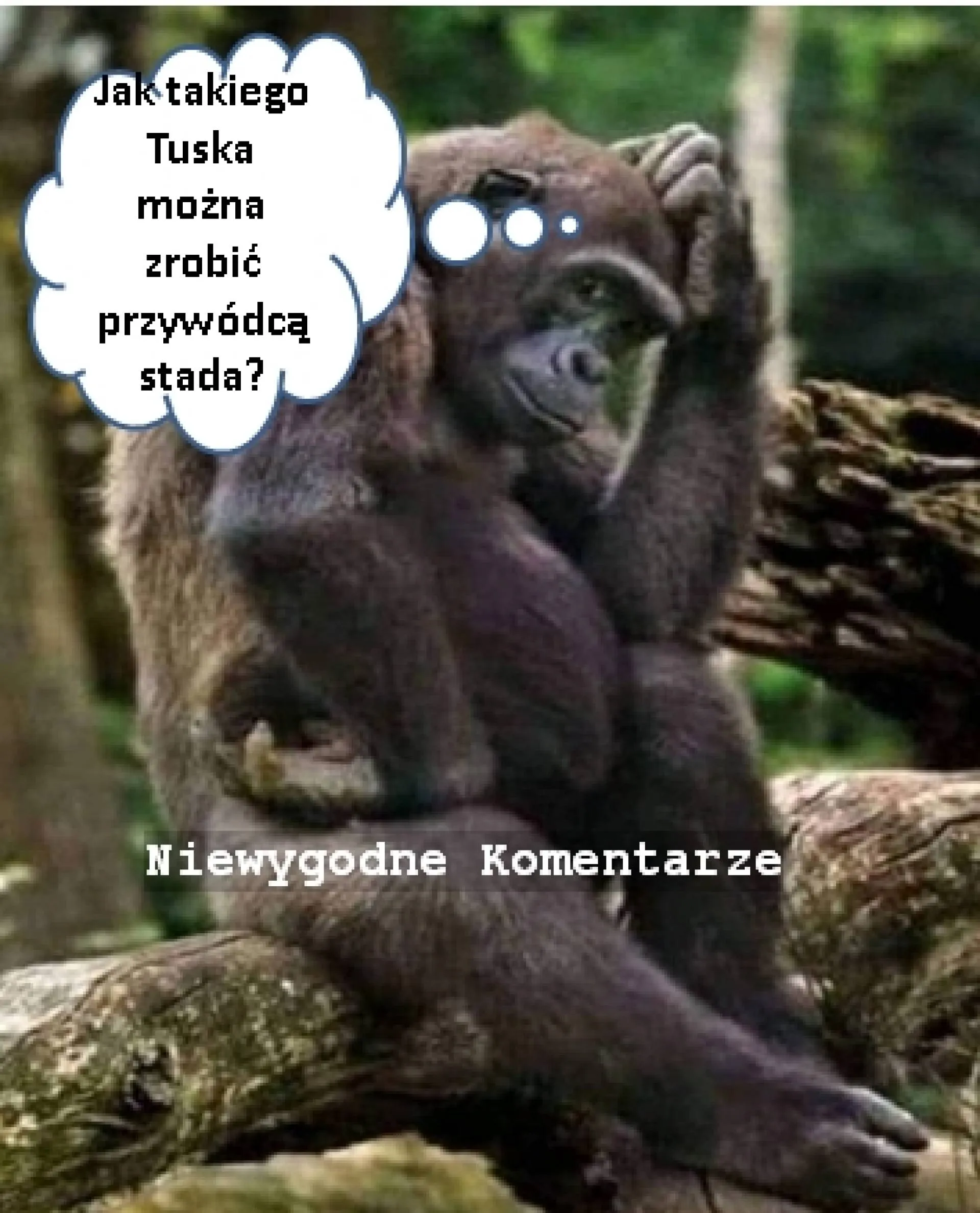 Jak można?