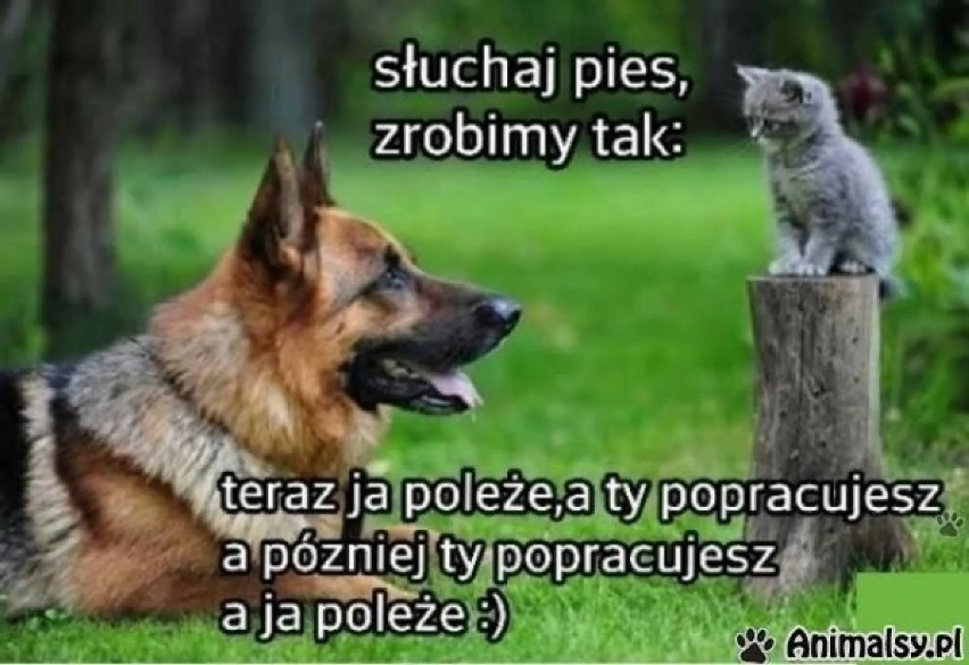 Zrobimy tak