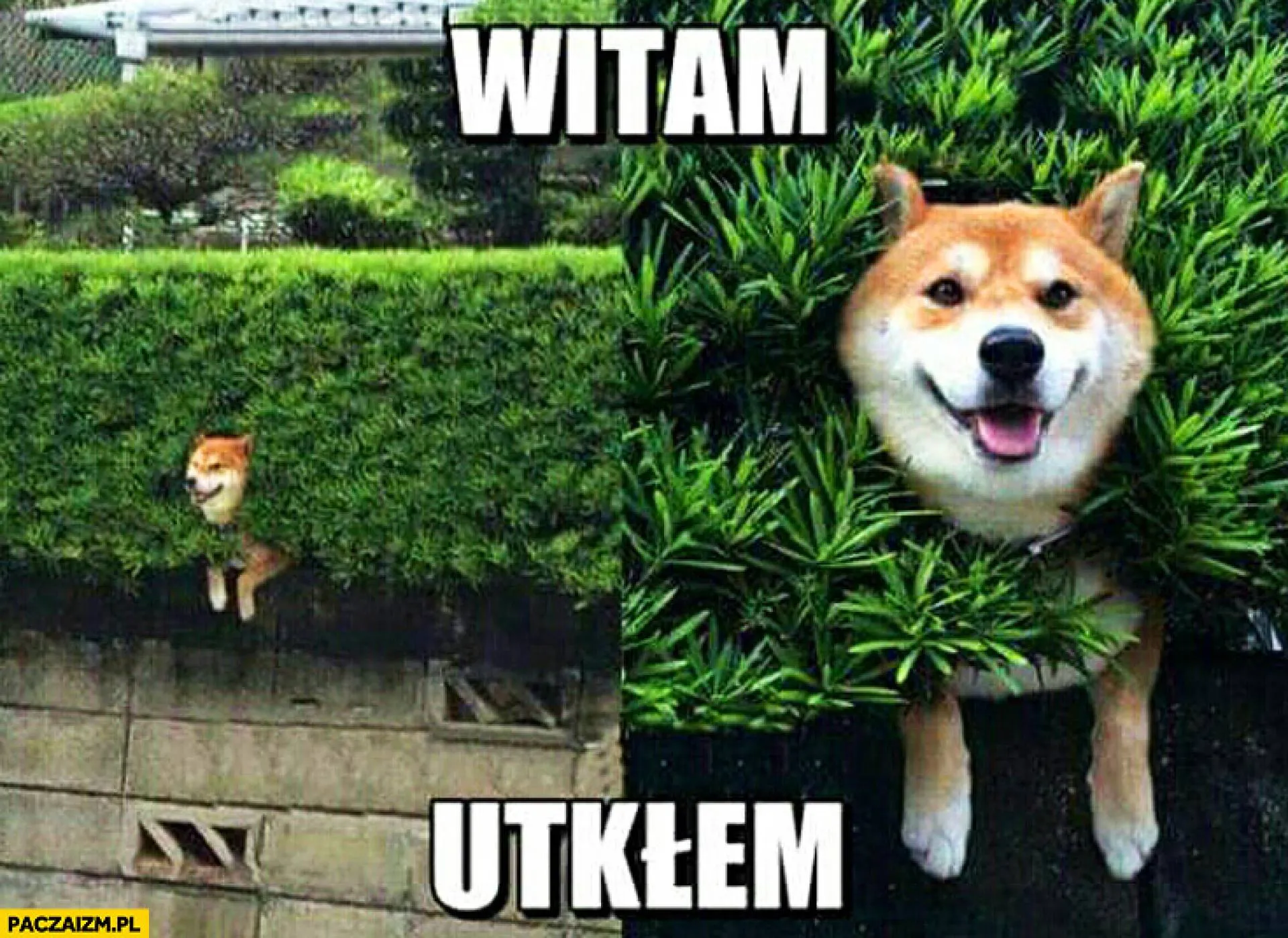 Utkłem