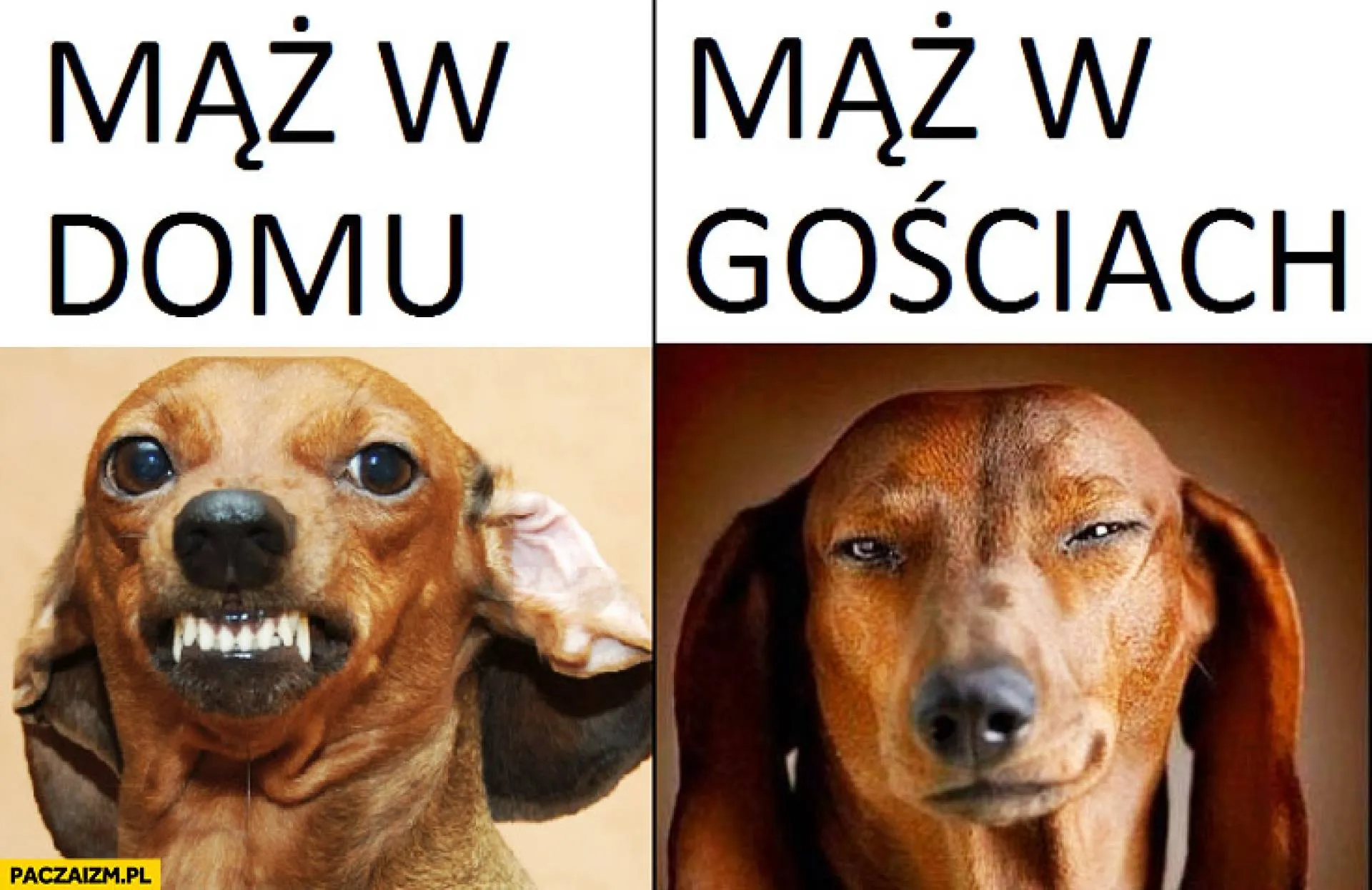 W domu i w gościach