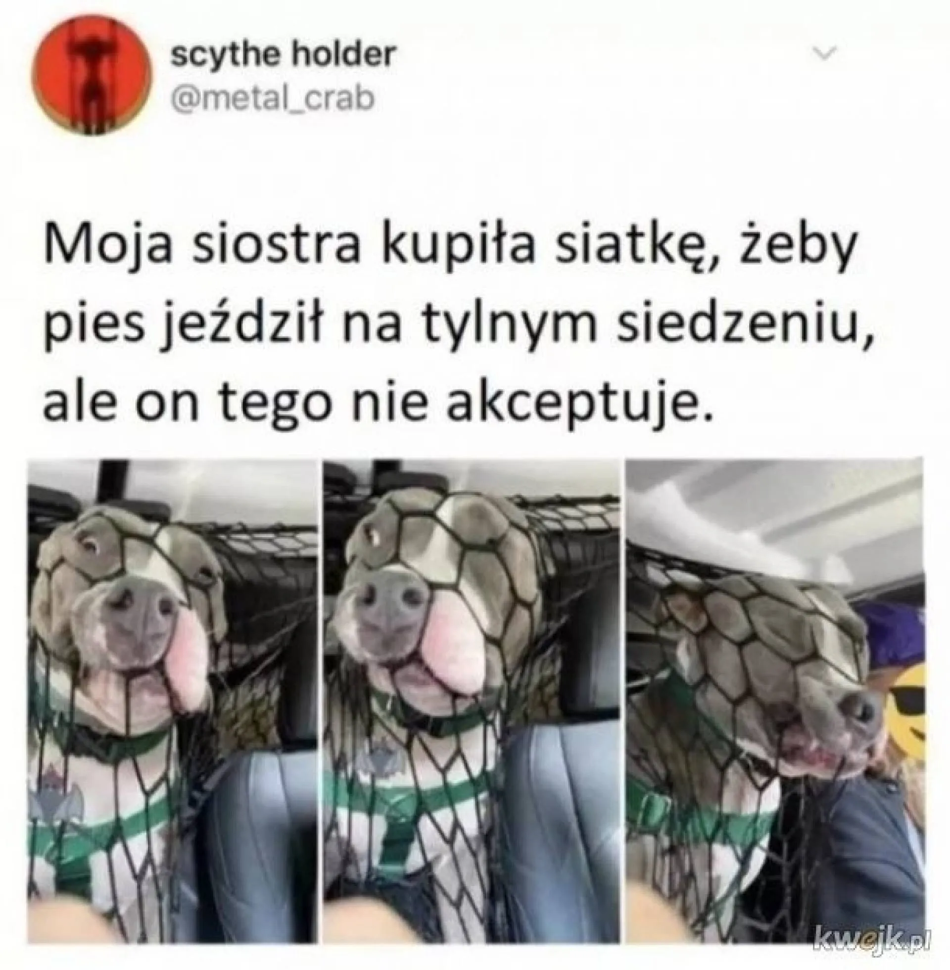 Kupiła siatkę