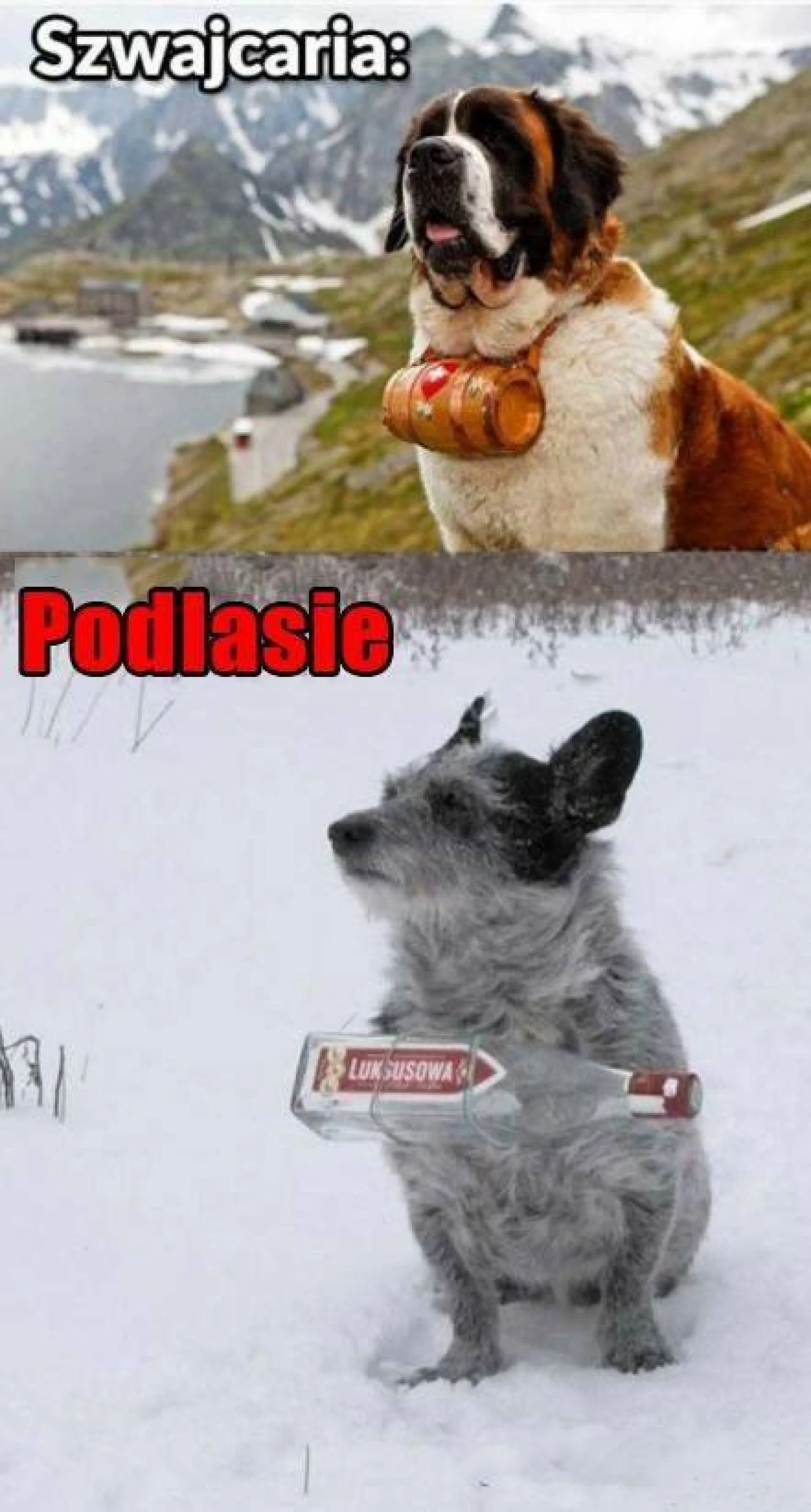 W służbie człowieka