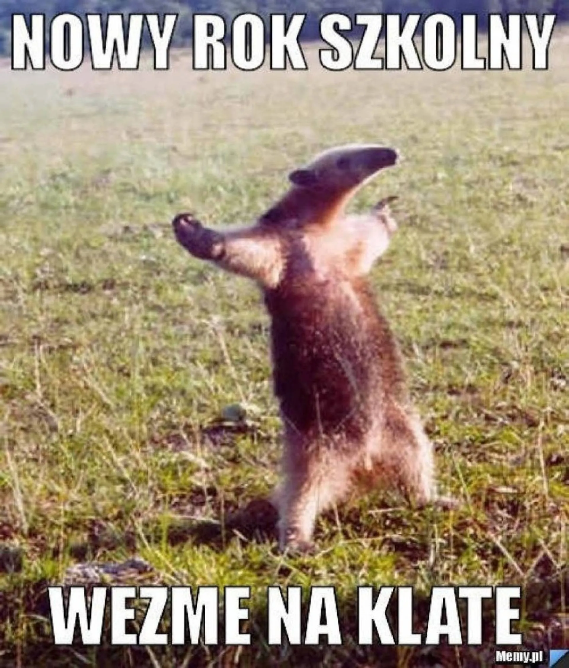 Powrót do szkoły