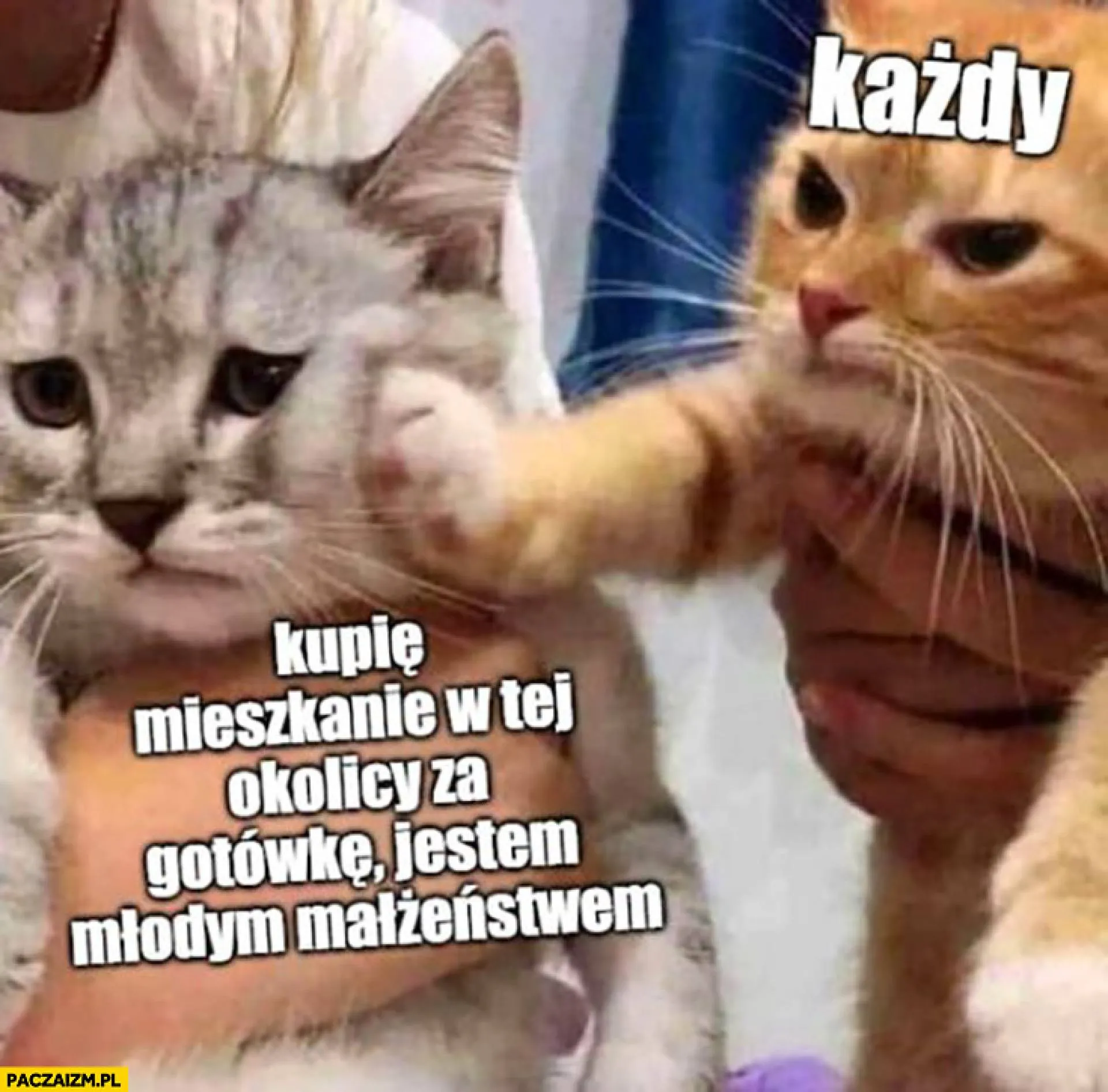 Kupię mieszkanie