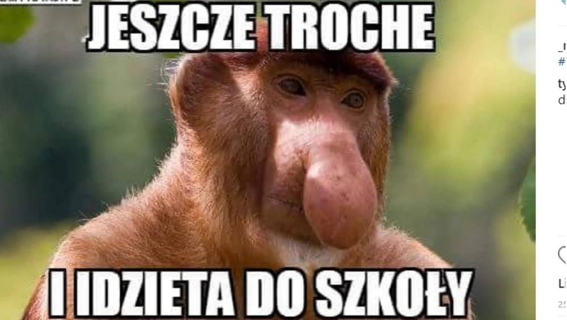 Jeszcze trochę