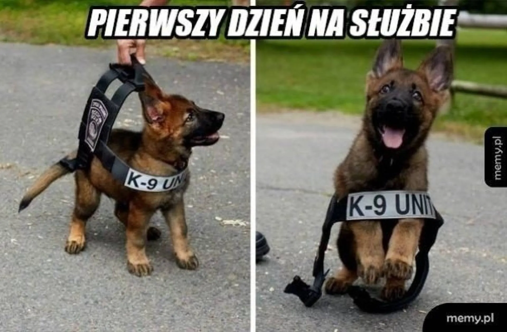 Na służbie