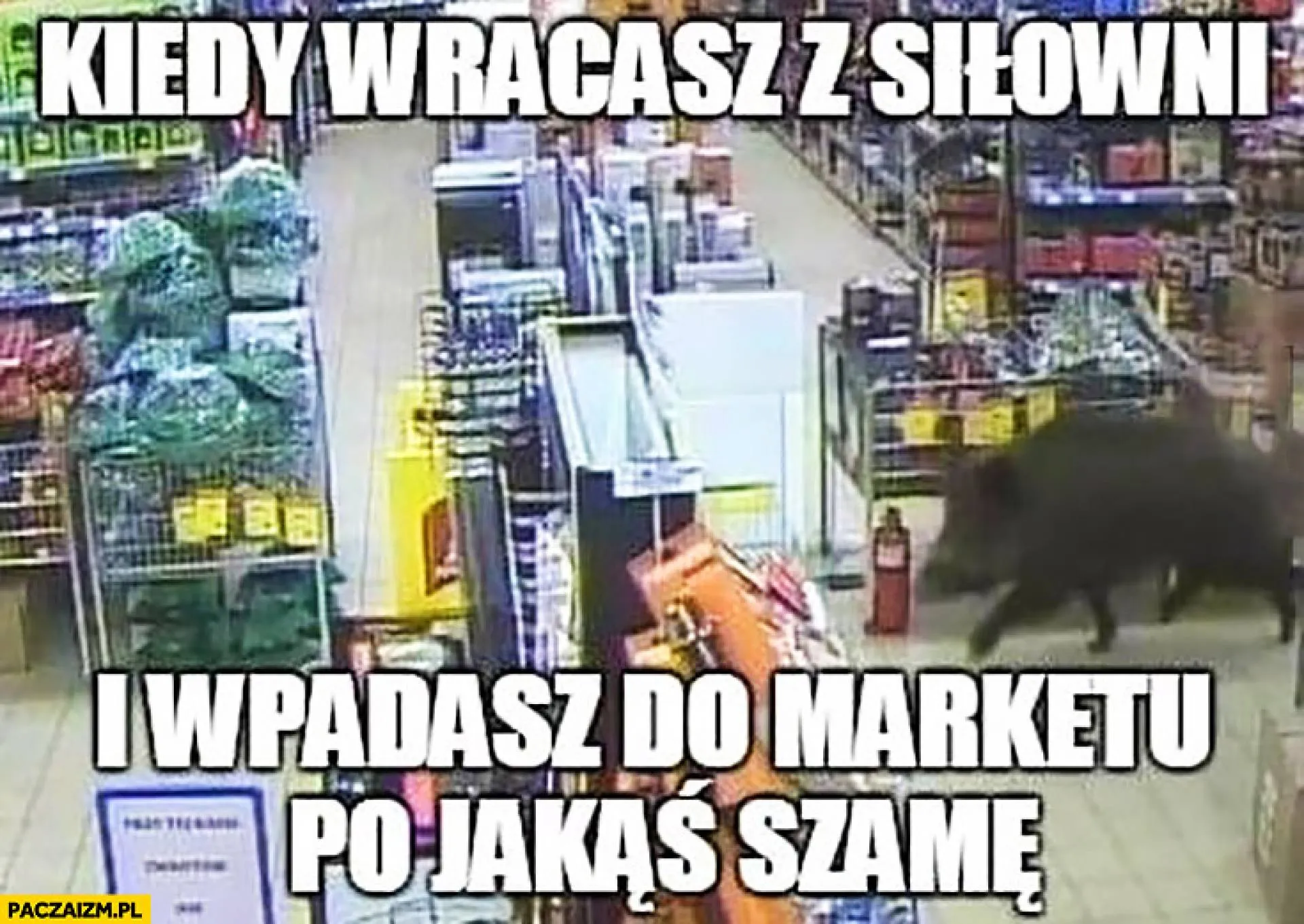 Dziki głód