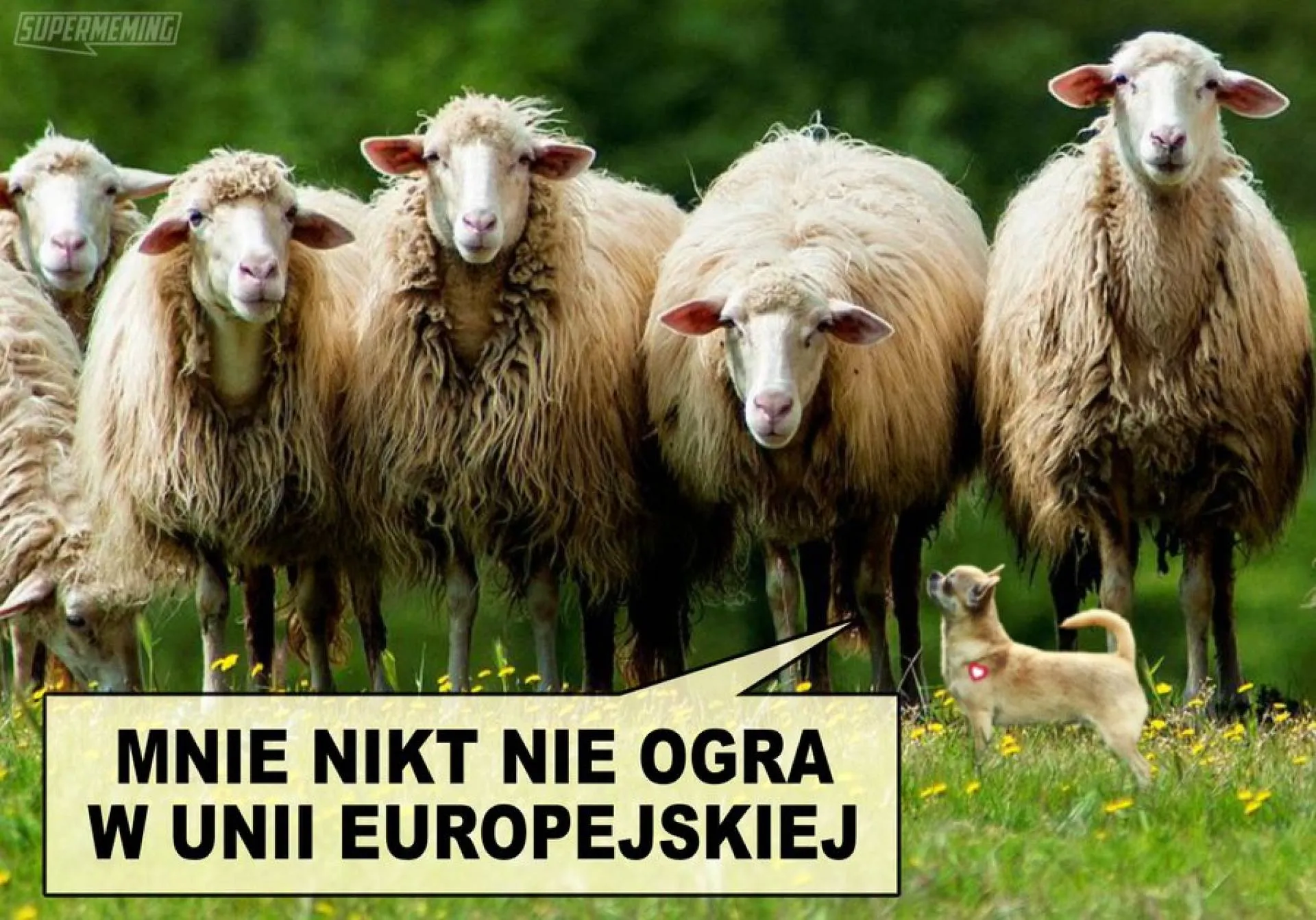 Nikt?