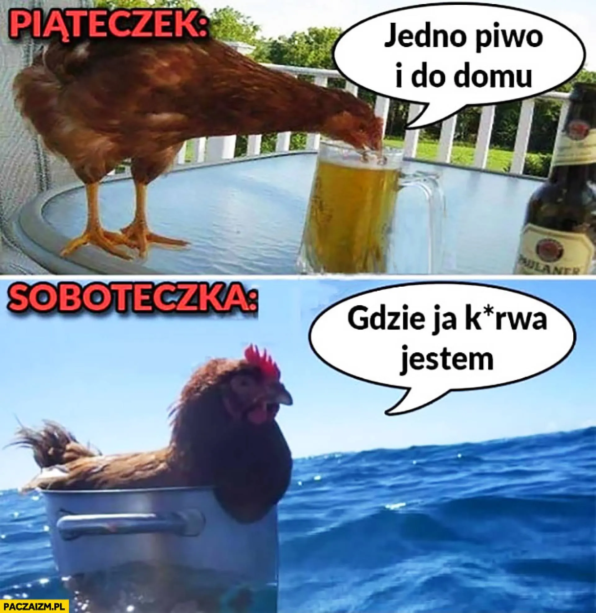 Tylko jedno...