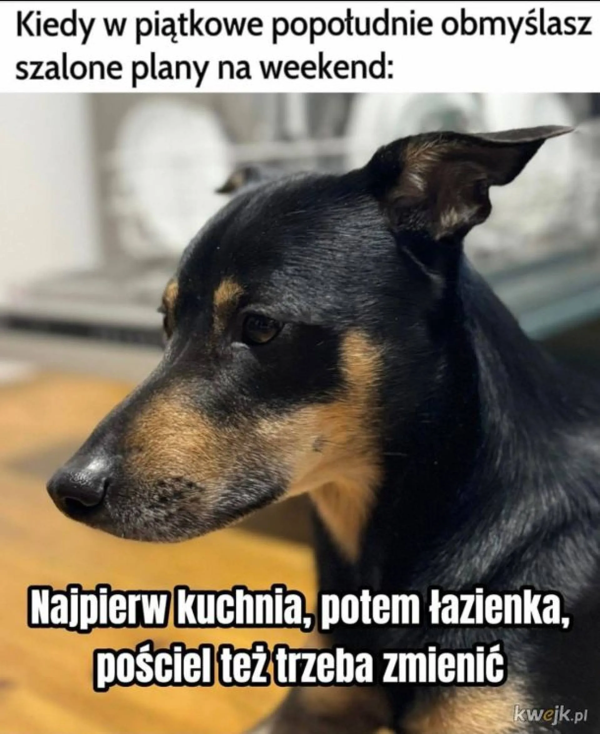 Plany...