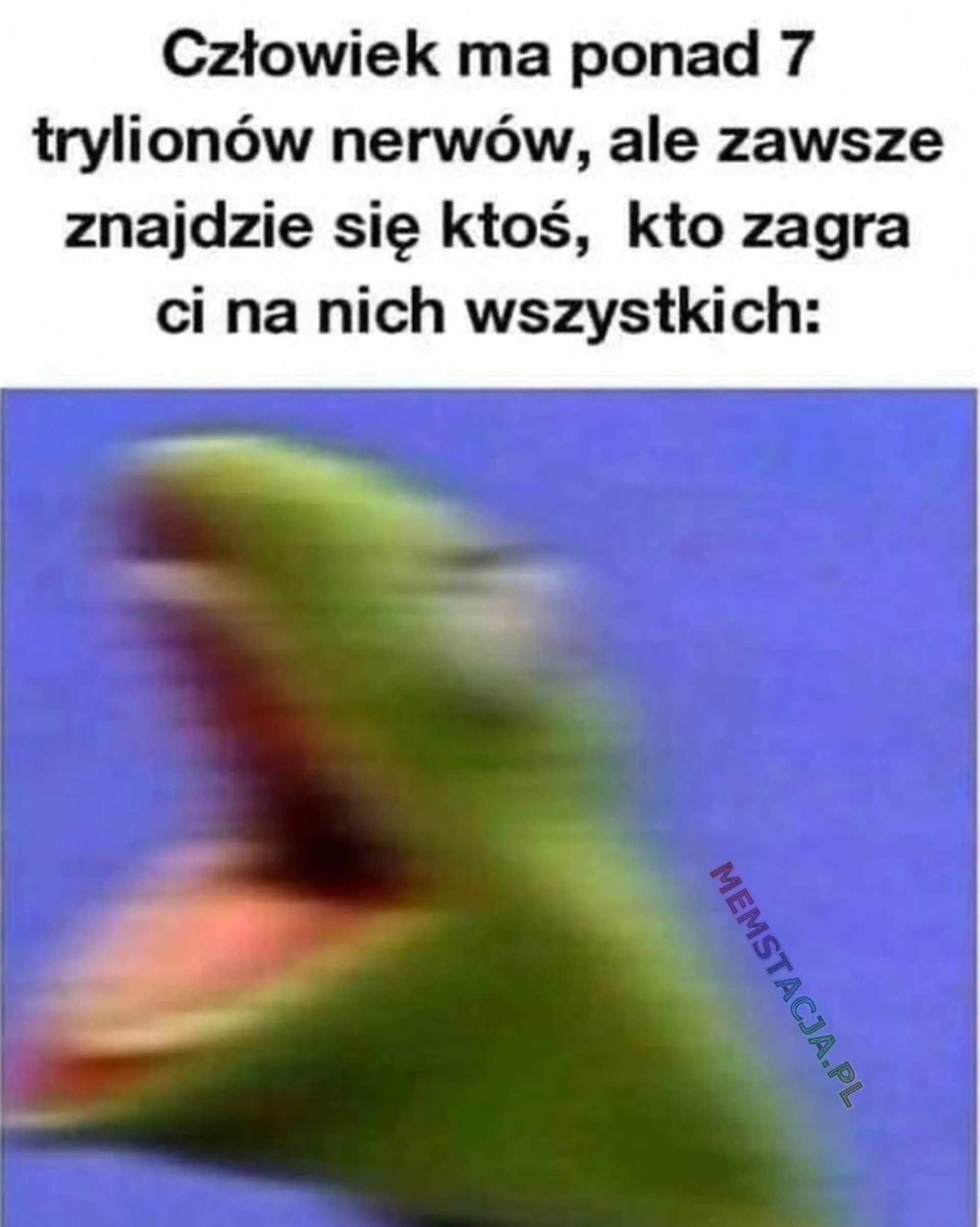 Zawsze!
