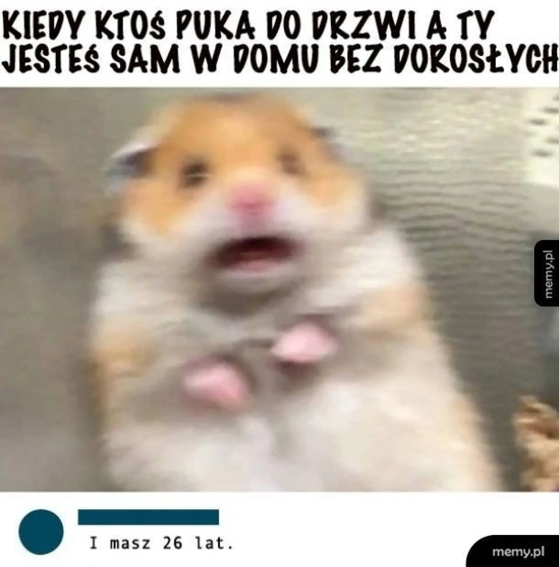 Kiedy ktoś puka