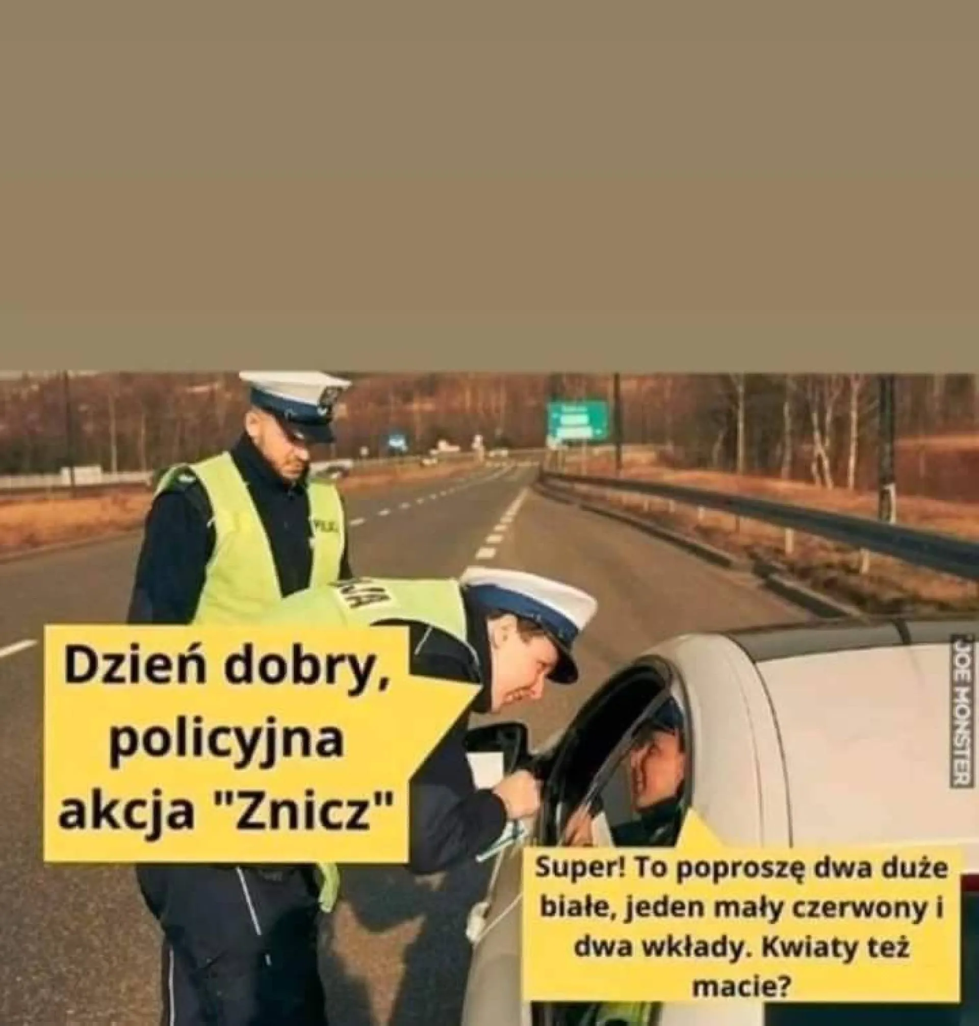 Znicz