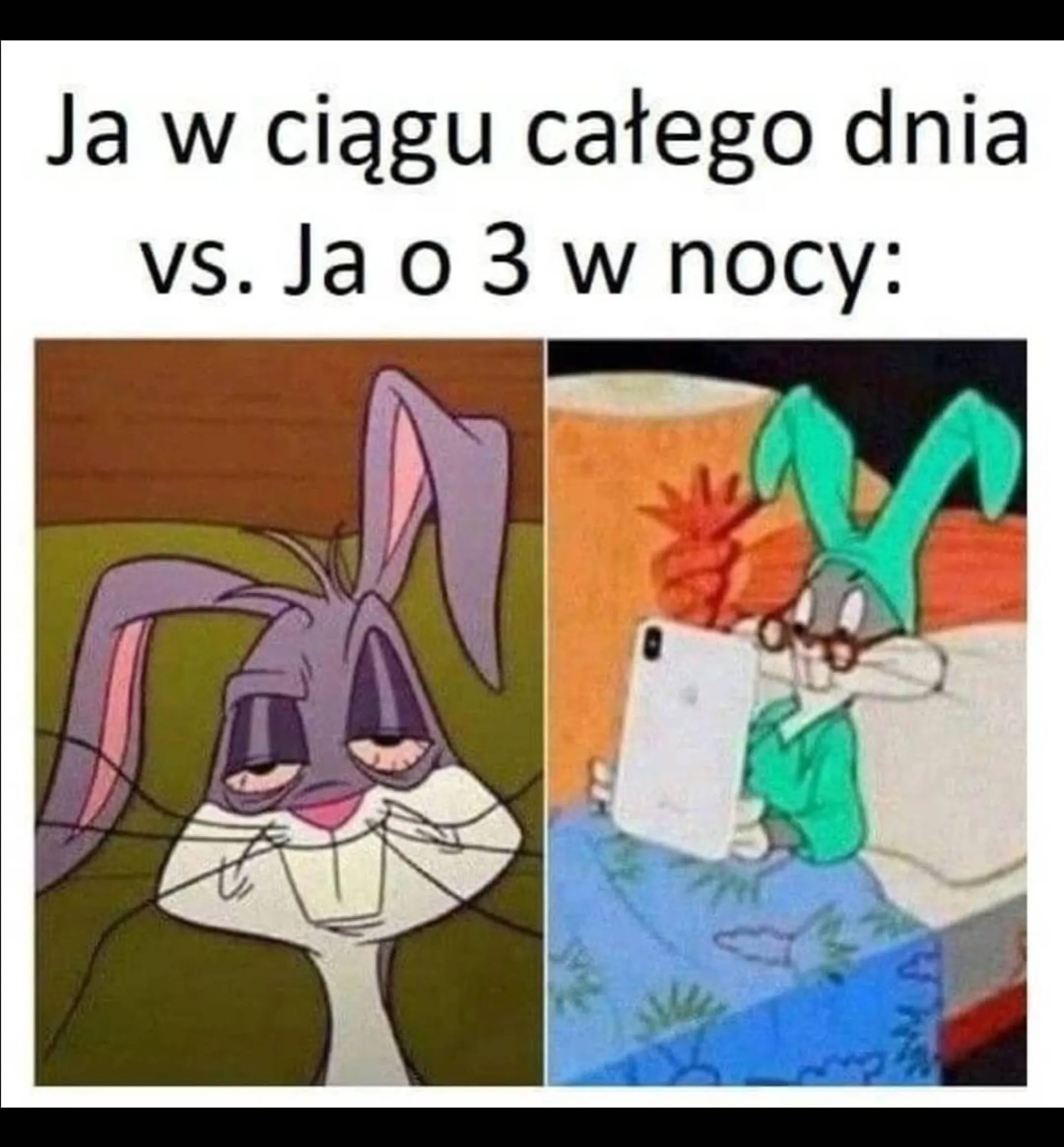 Nocne zwierzę