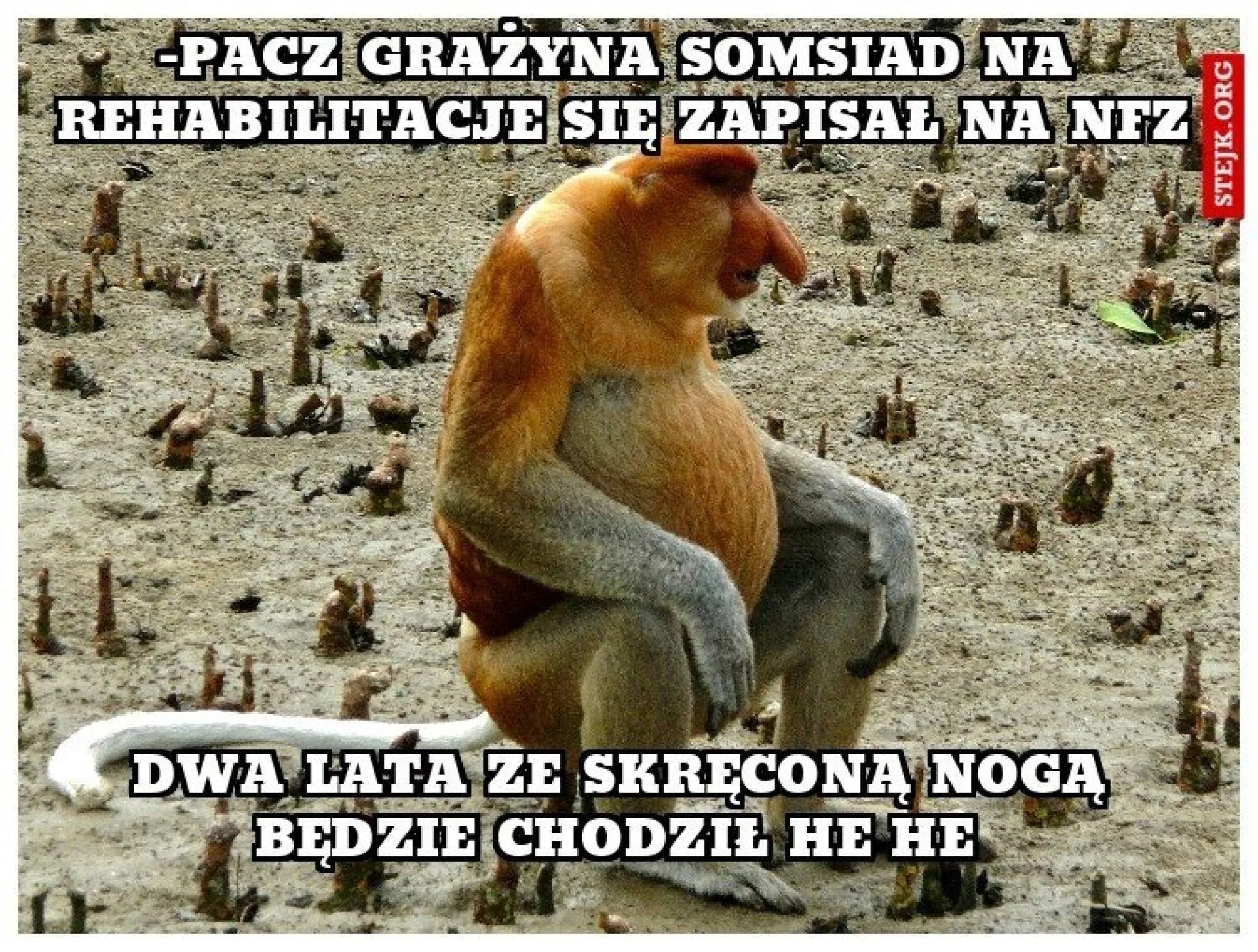 Się zapisał