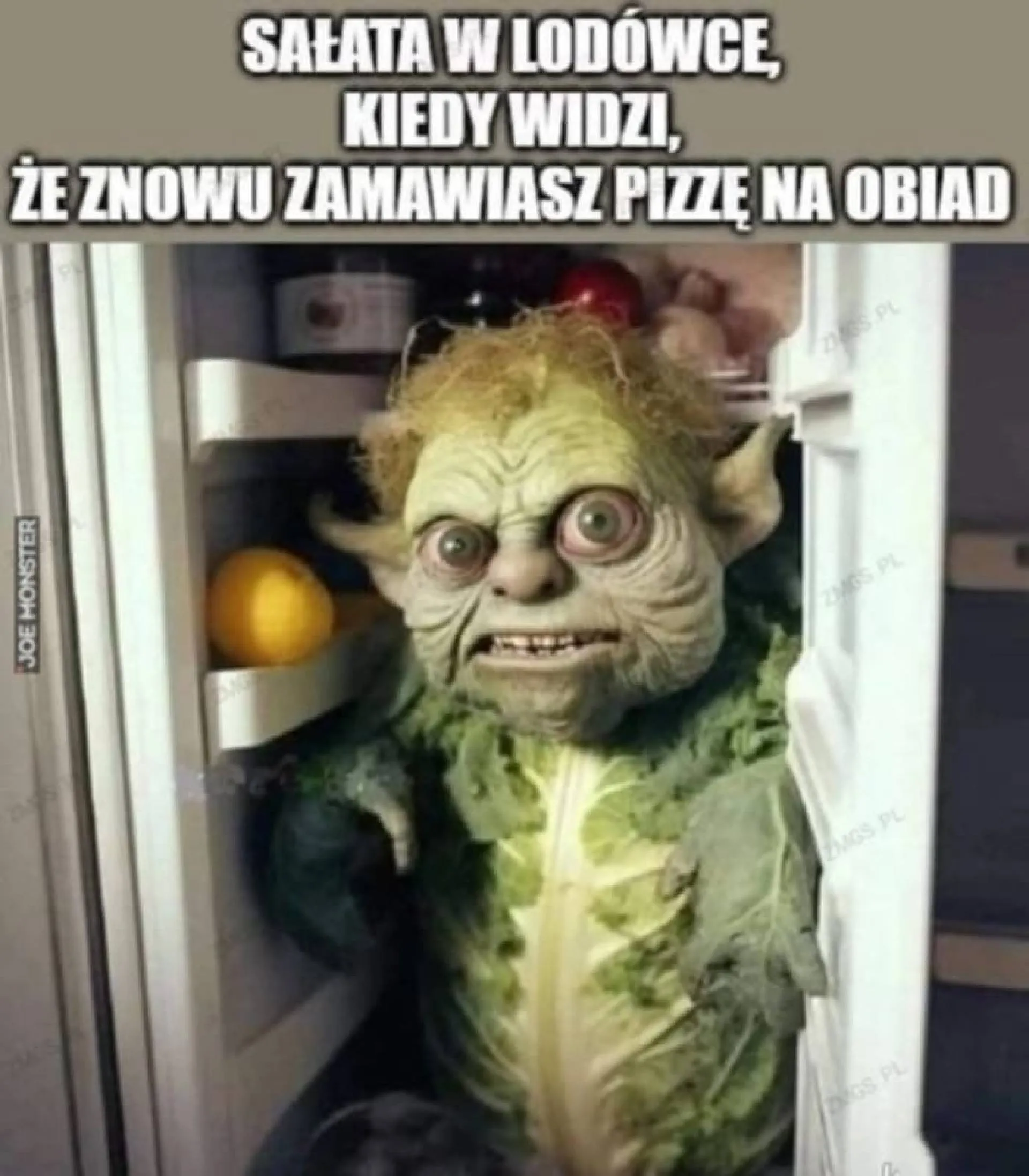 Co na obiad?