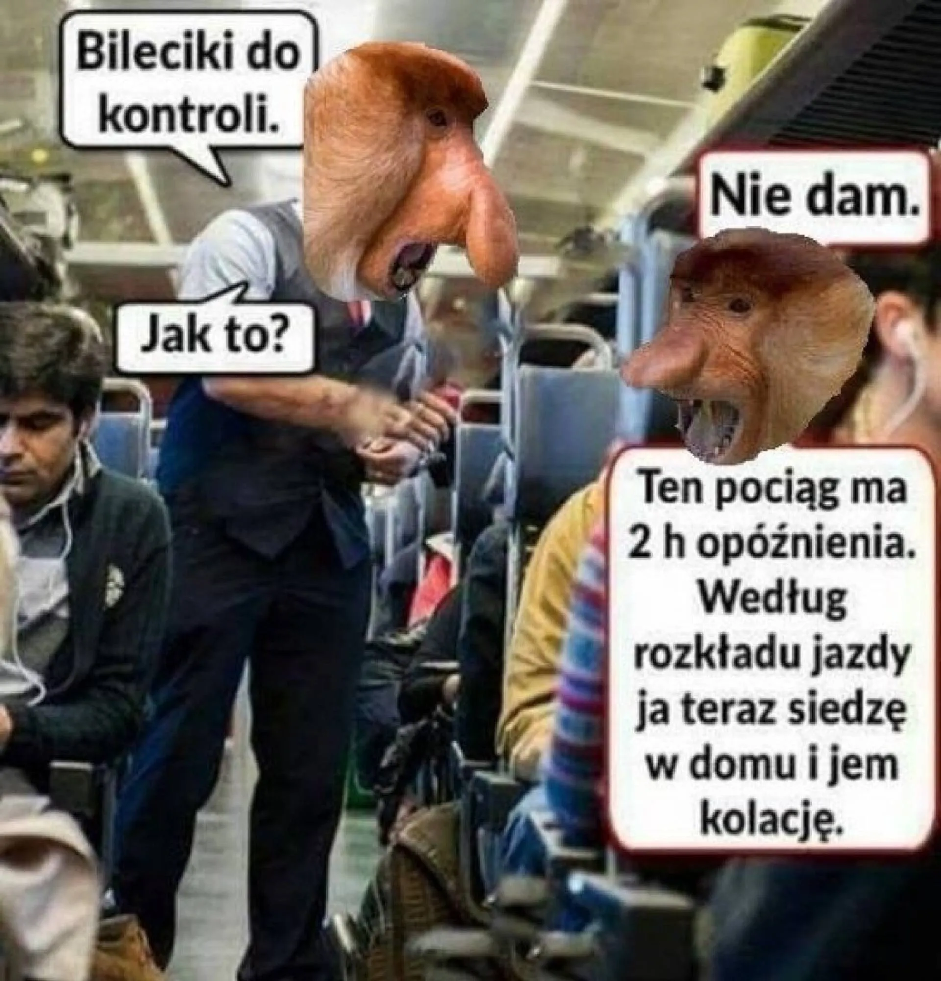 Bileciki