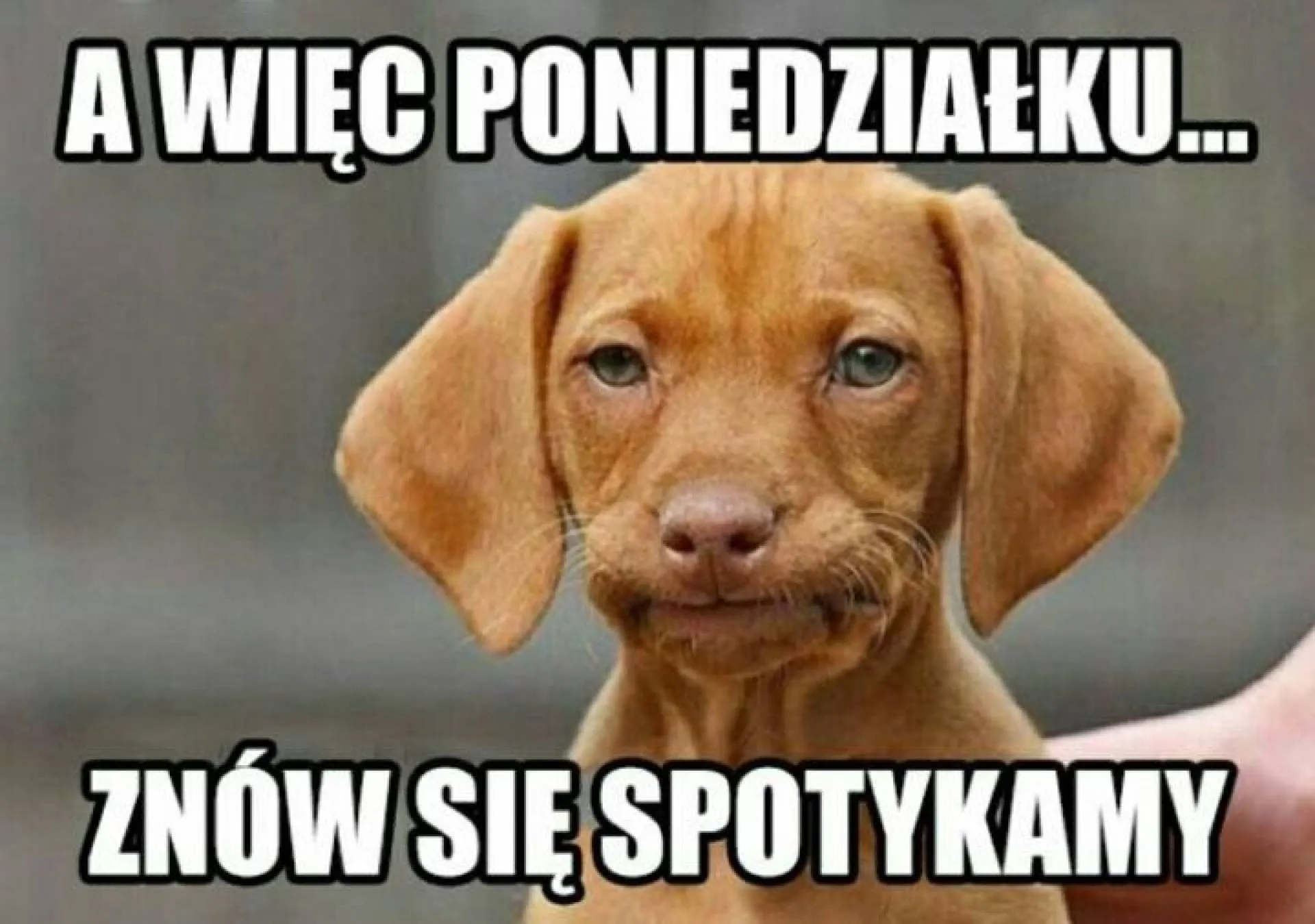 Ponownie poniedziałek