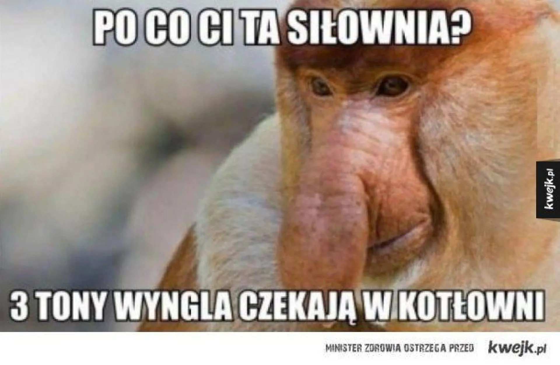 Zamiast siłowni