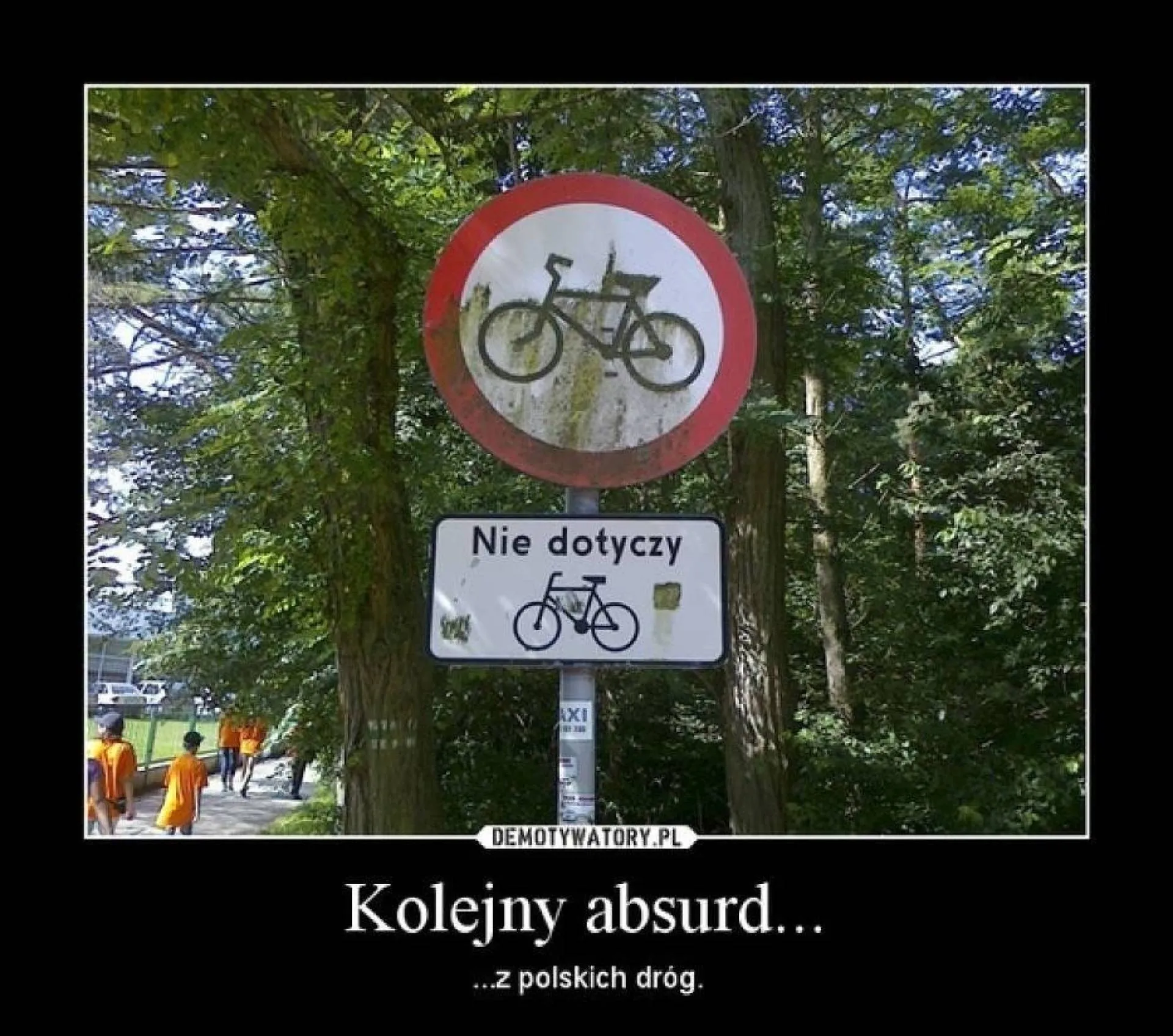 Drogowe absurdy
