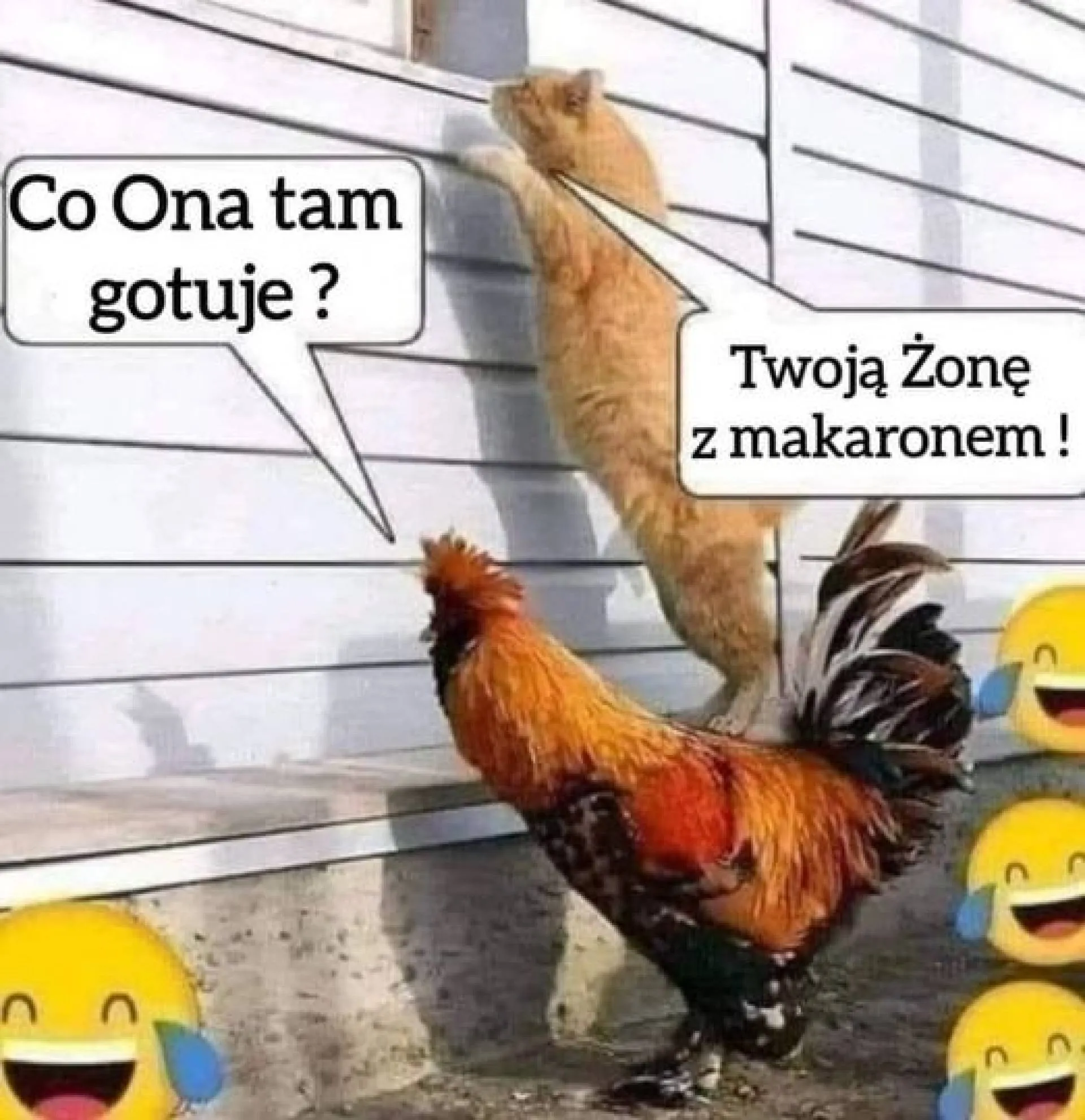 Co na obiad?