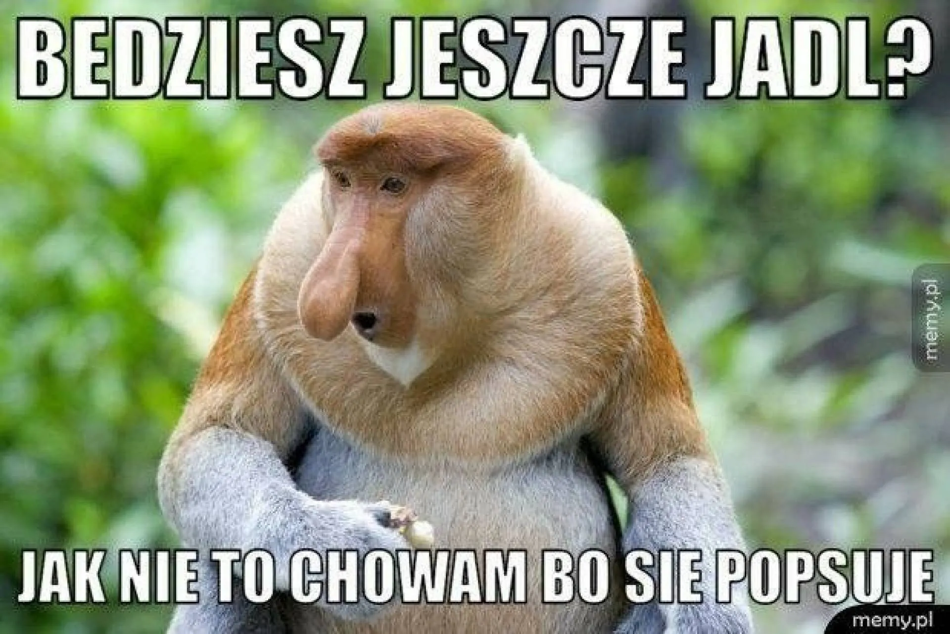 Jedzonko