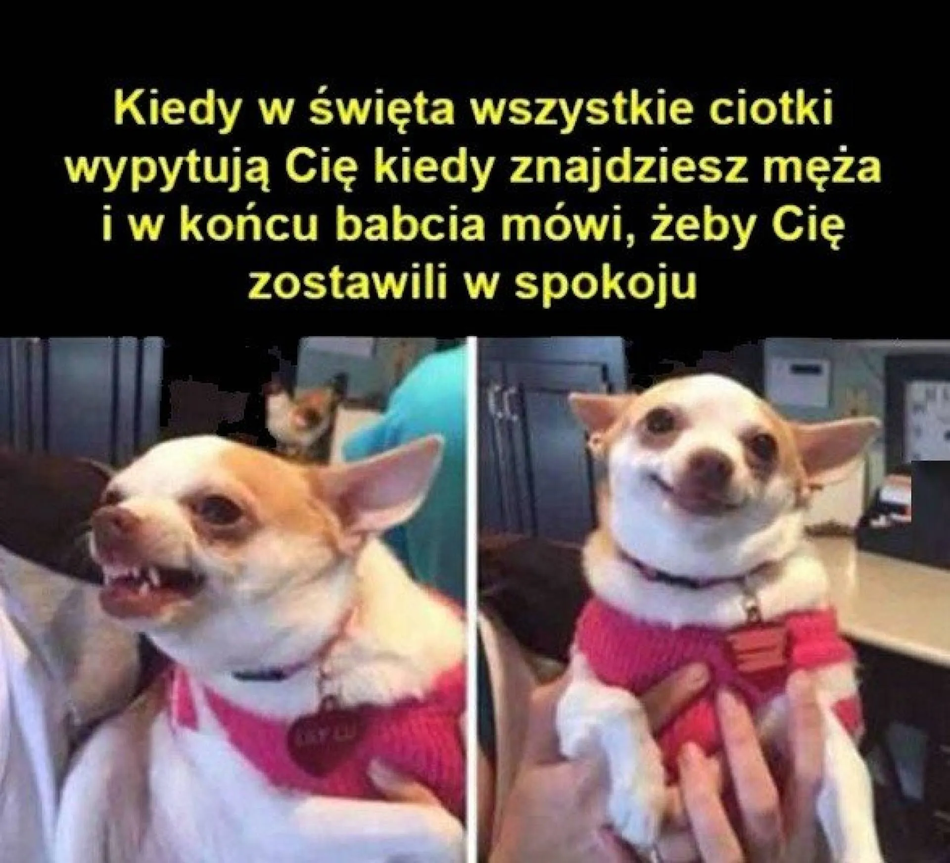 Ciotki