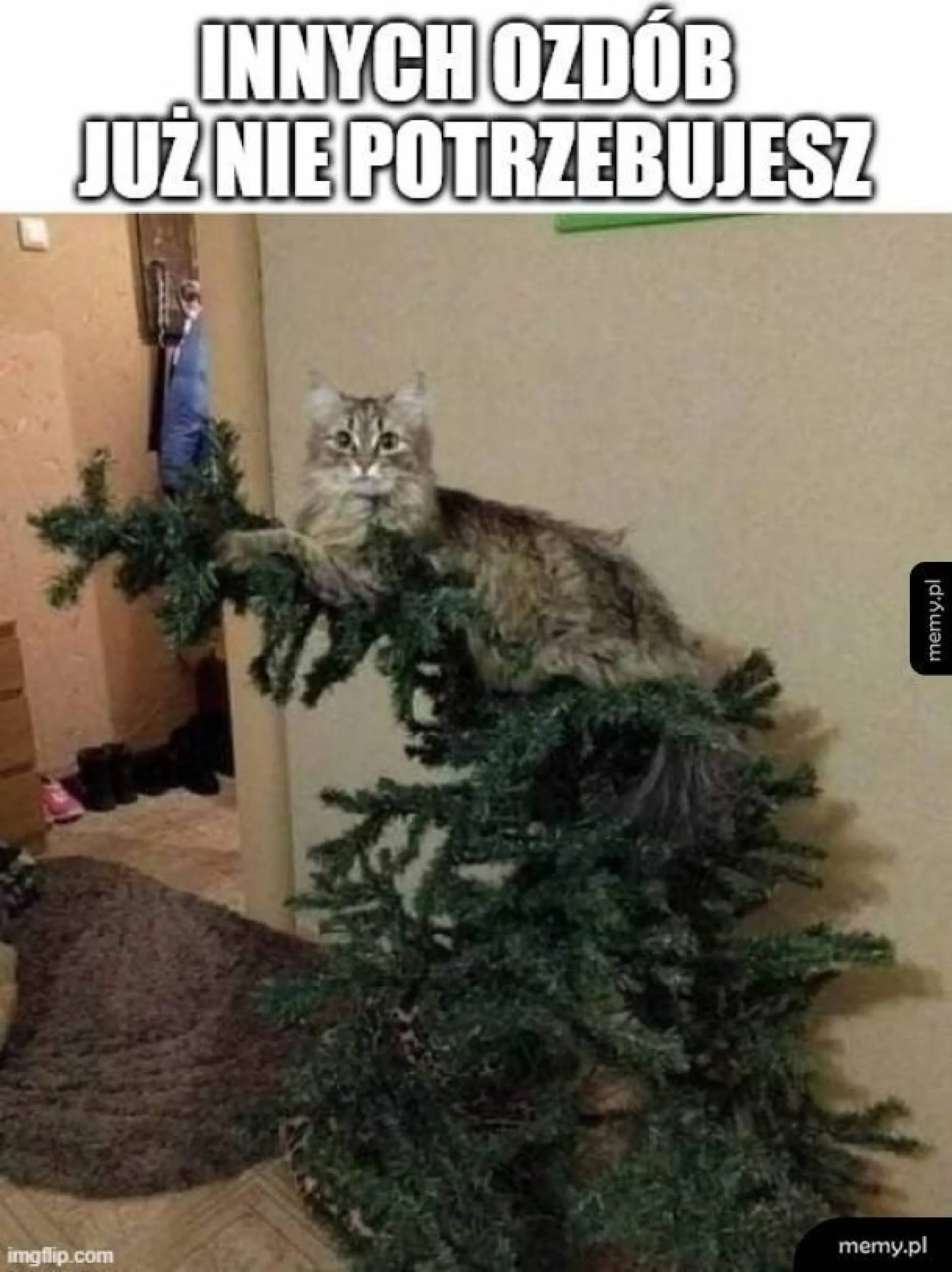 Już nie