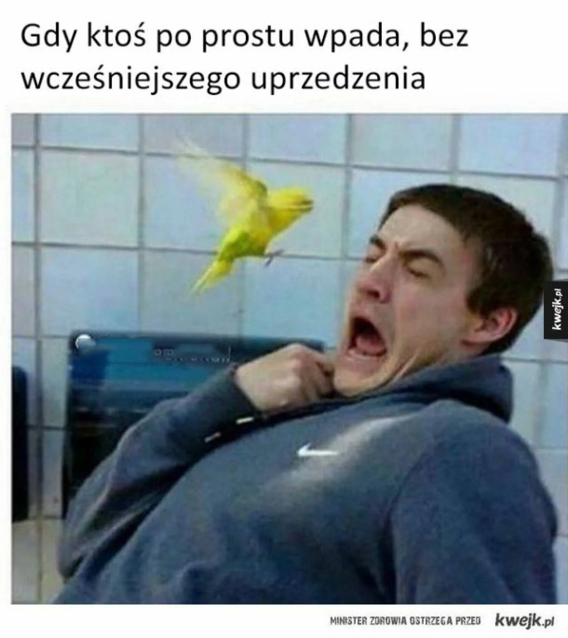 Po prostu...
