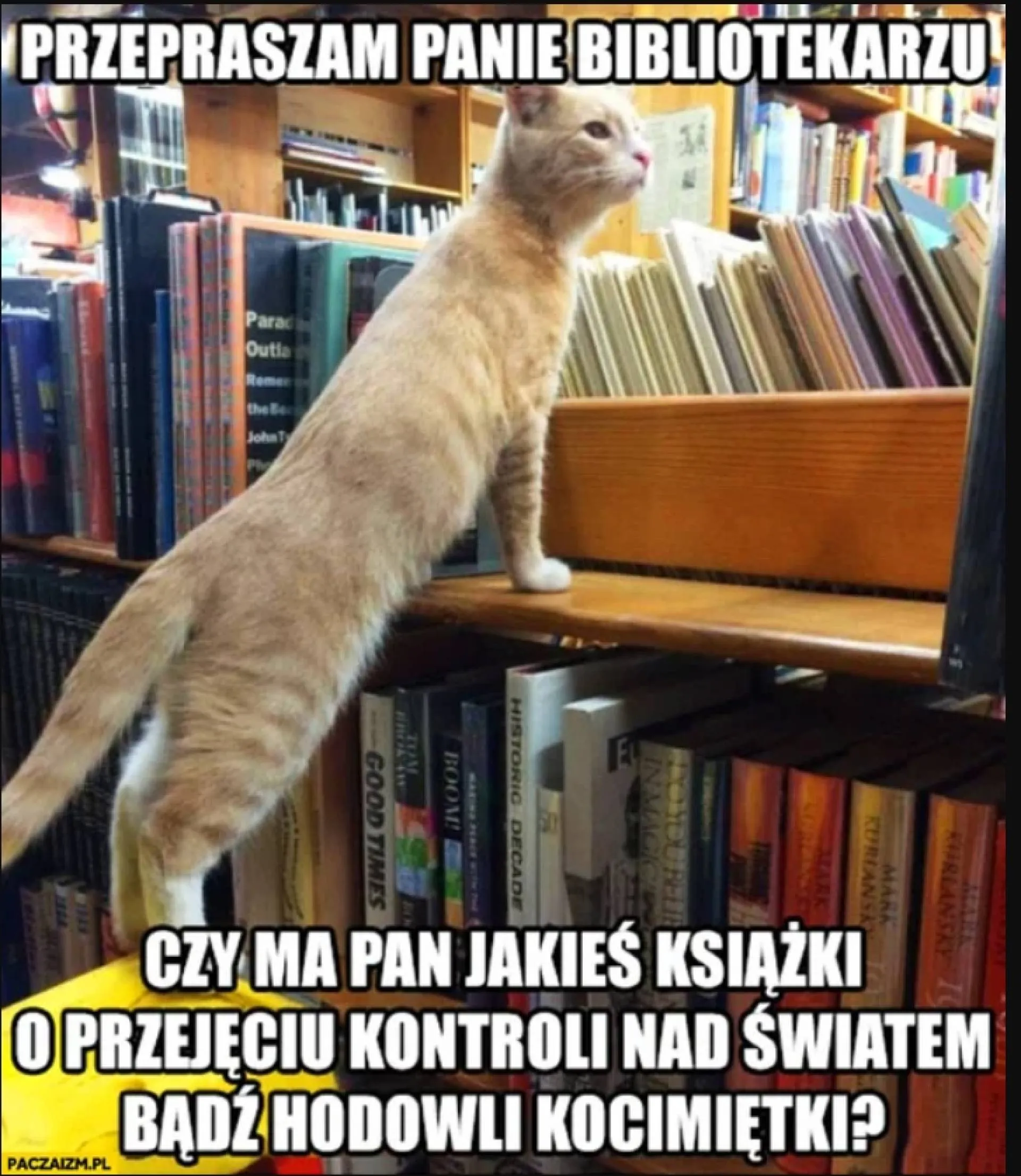 Panie bibliotekarzu
