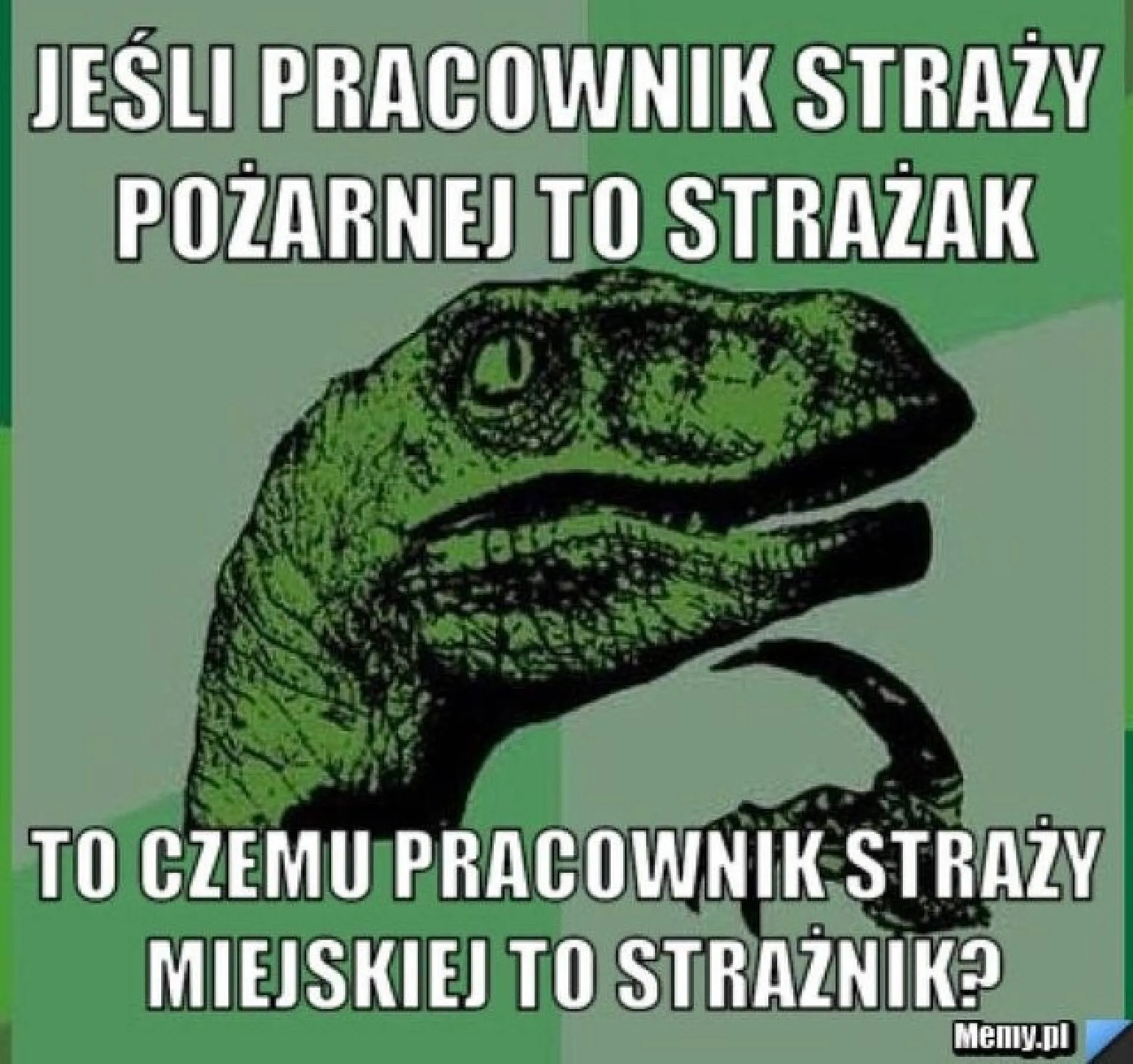 Strażak i strażnik