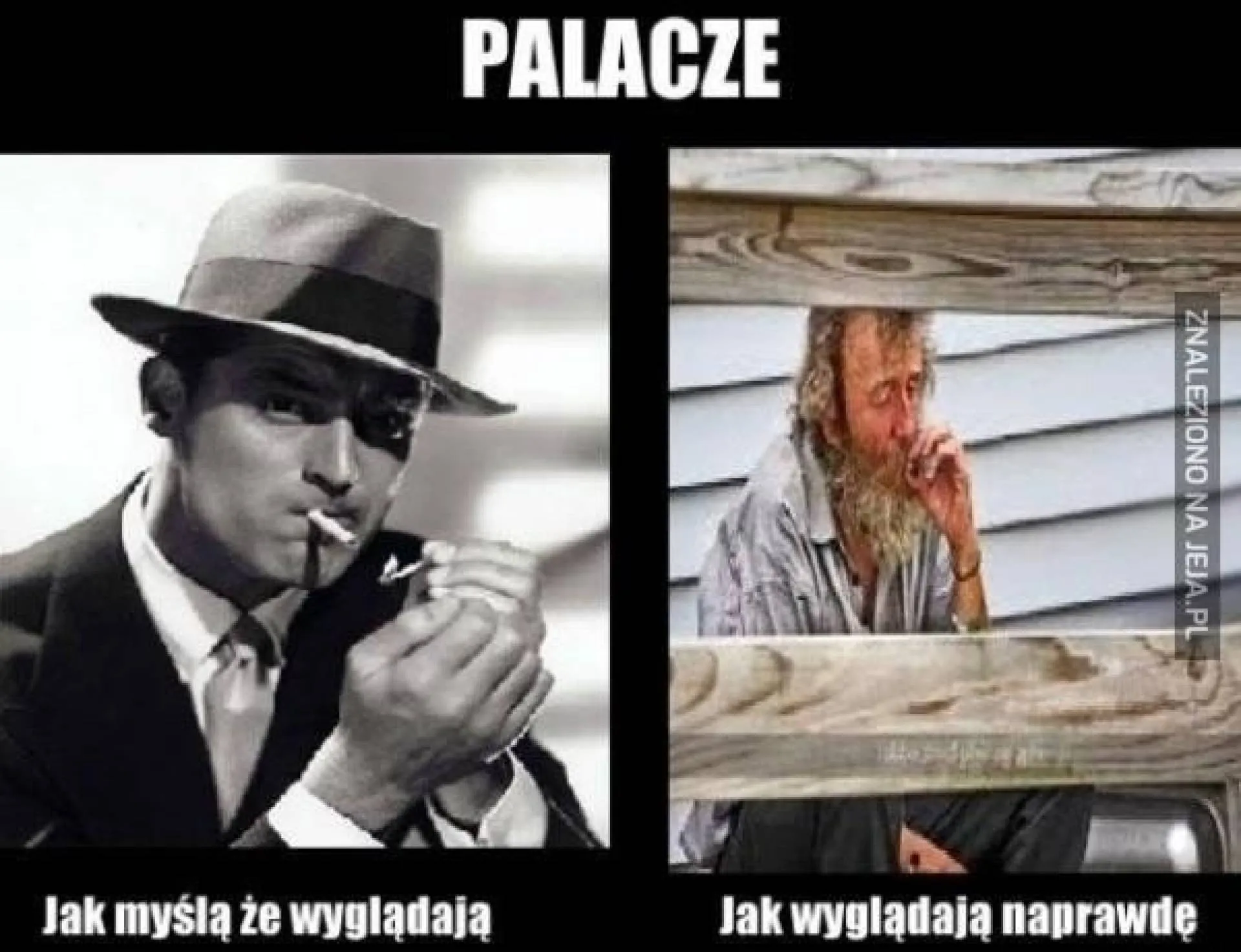 Palacze