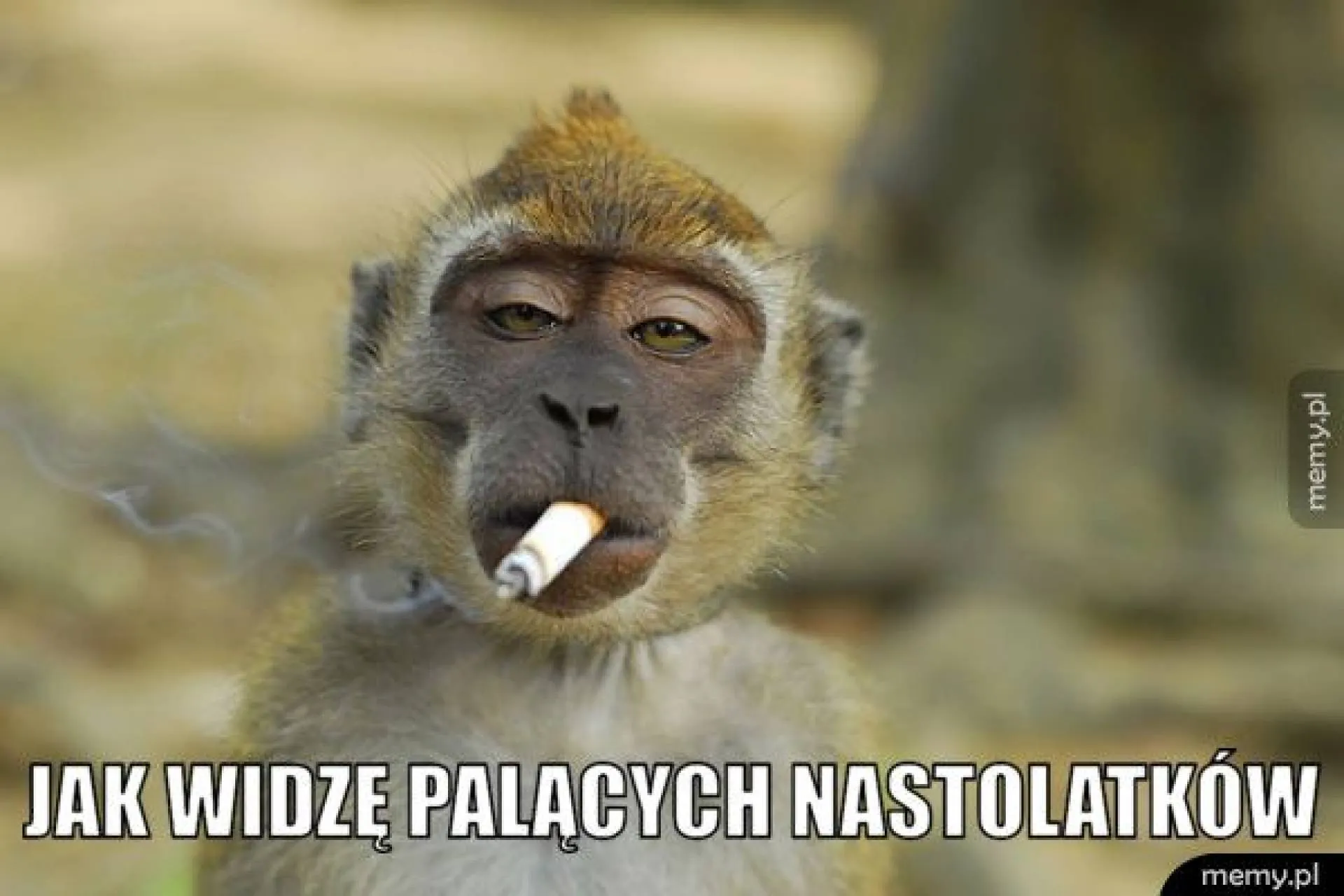 Tak widzę