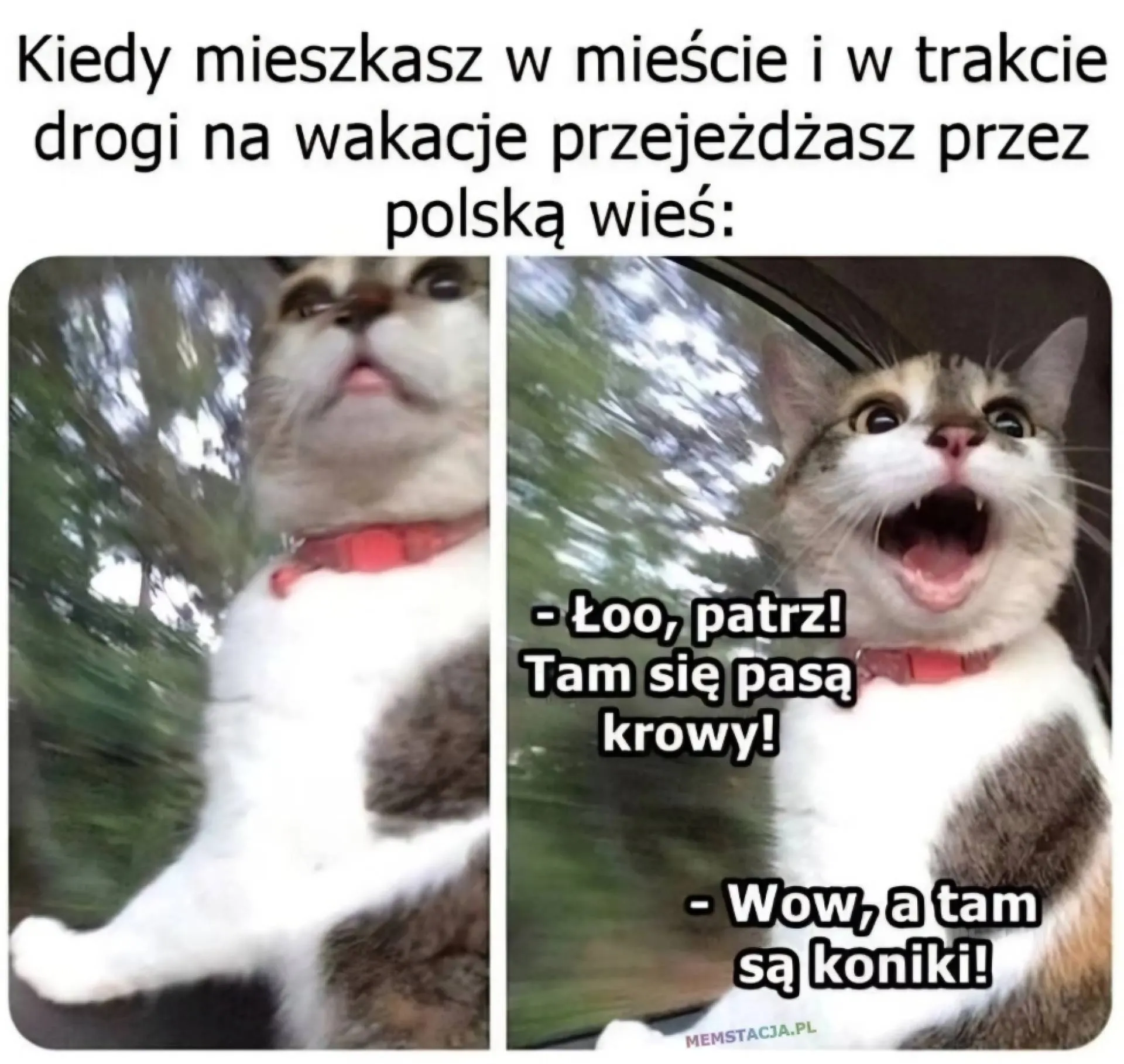 Patrz!
