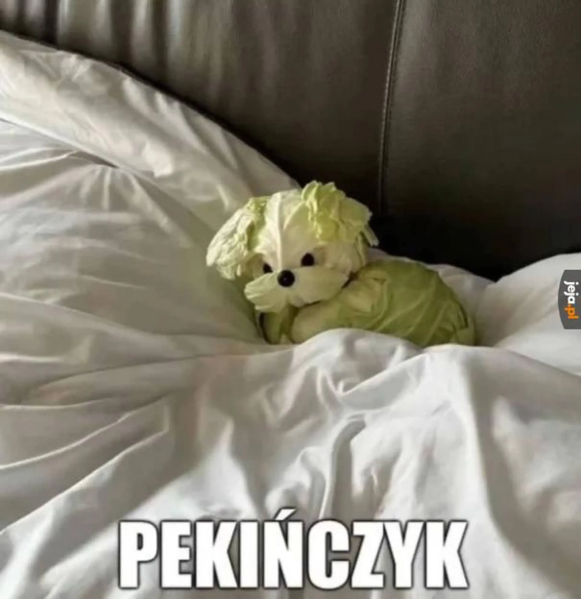 Pekińczyk