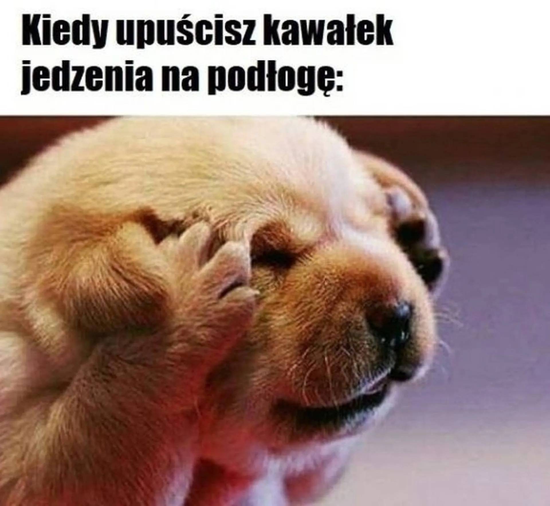 Kiedy...
