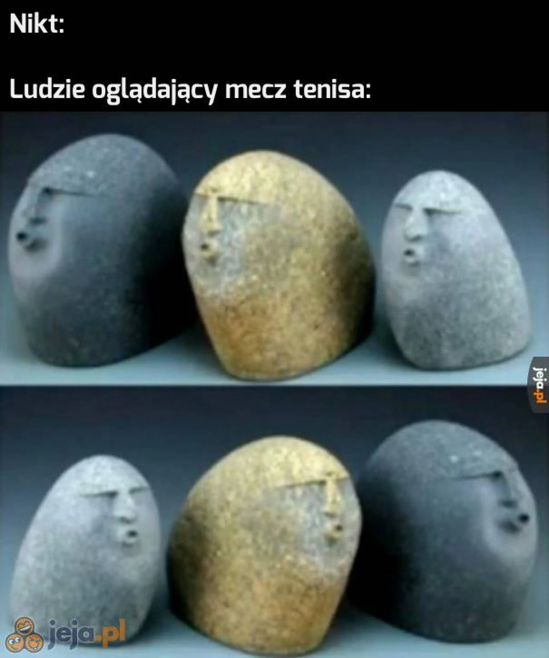 Kibice tenisa
