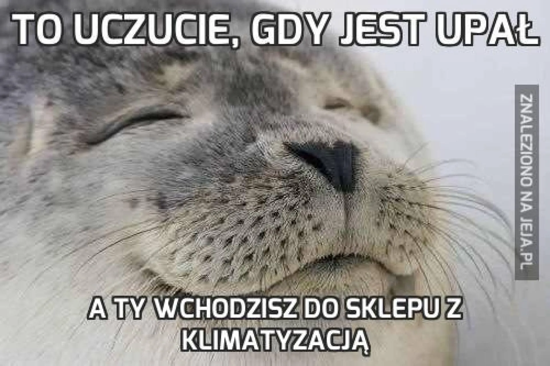 Uczucie