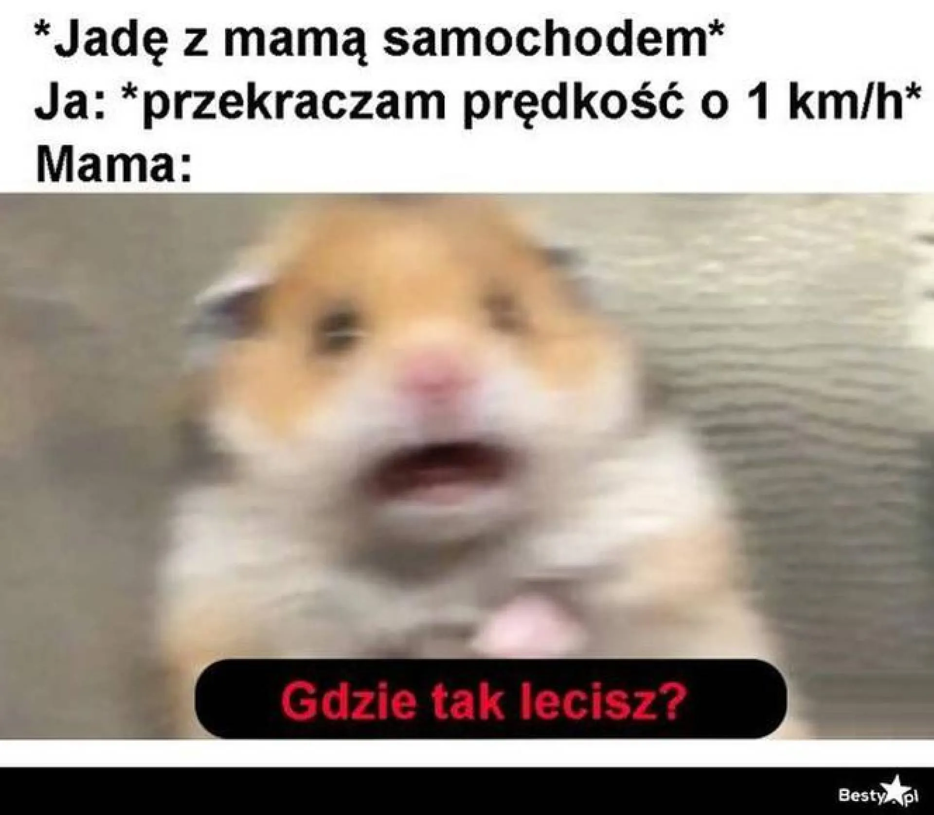 Podróż z mamą