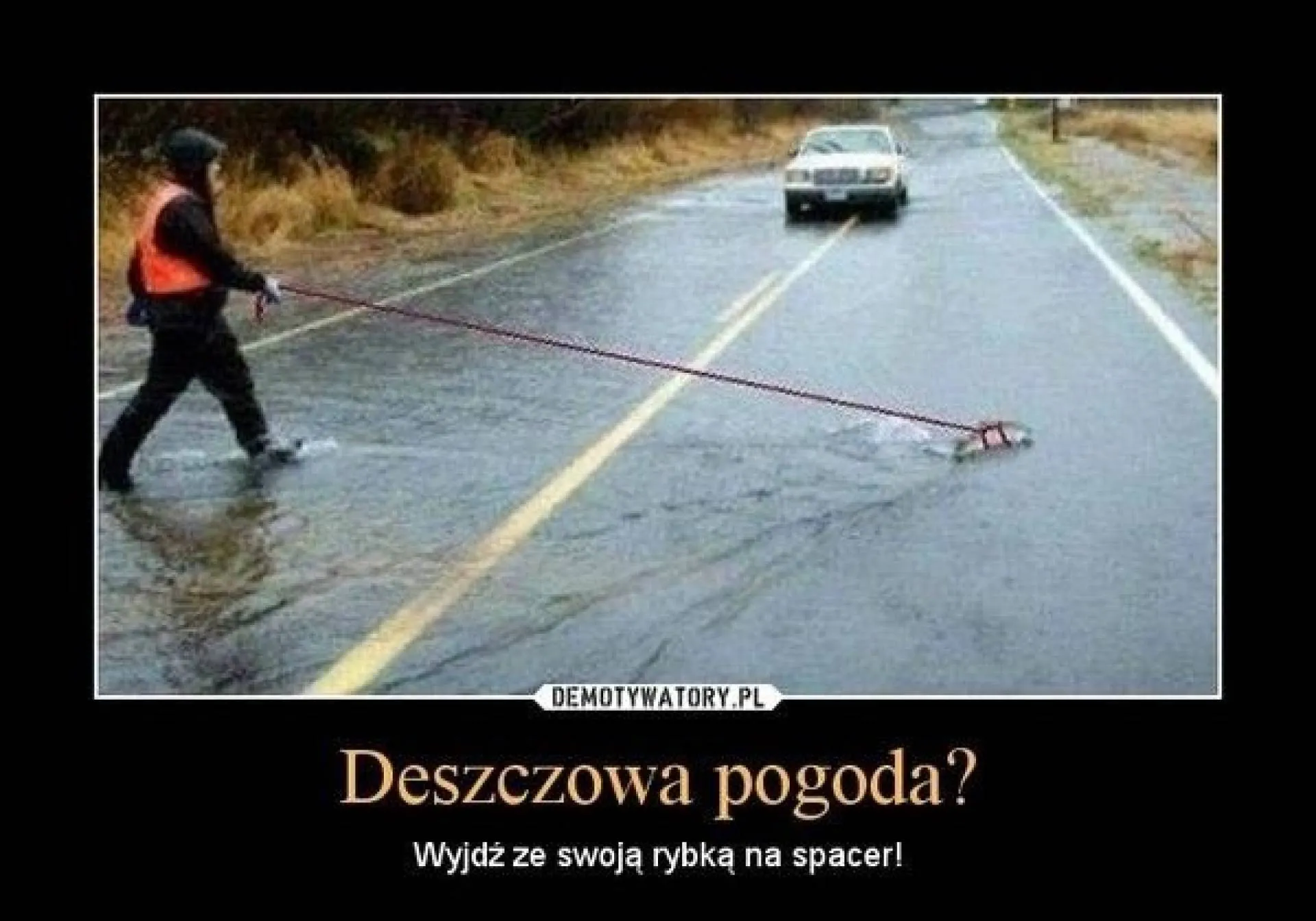 Spacer z rybką