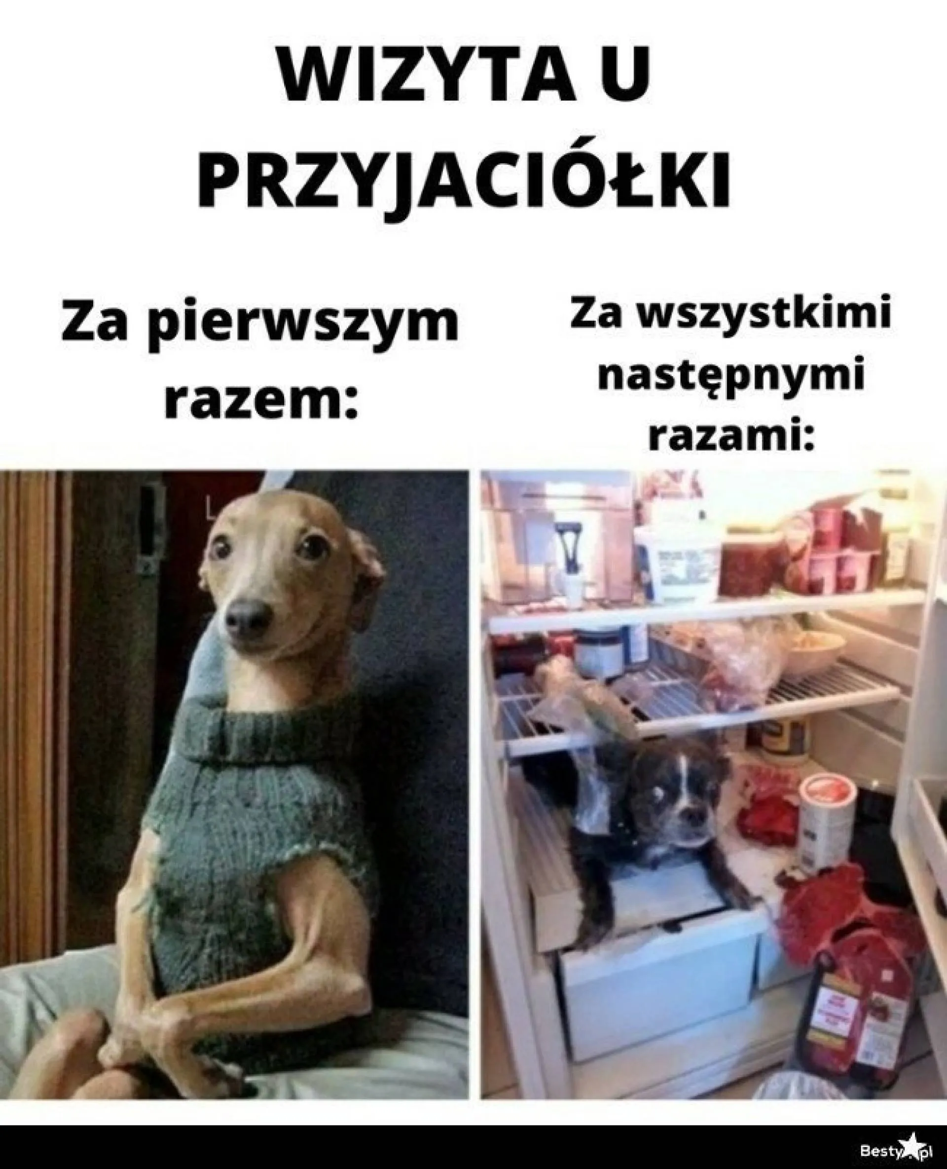 Wizyta