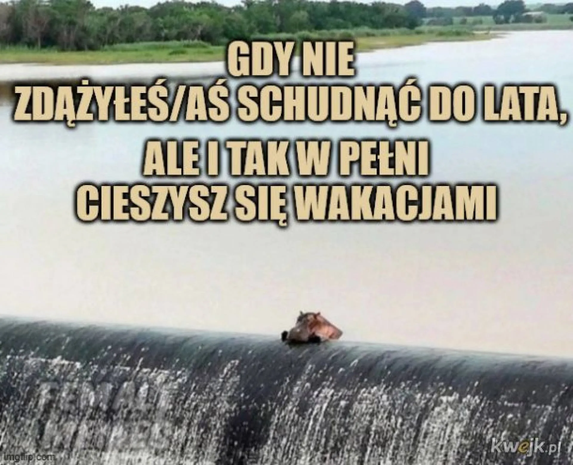 Pełna radość