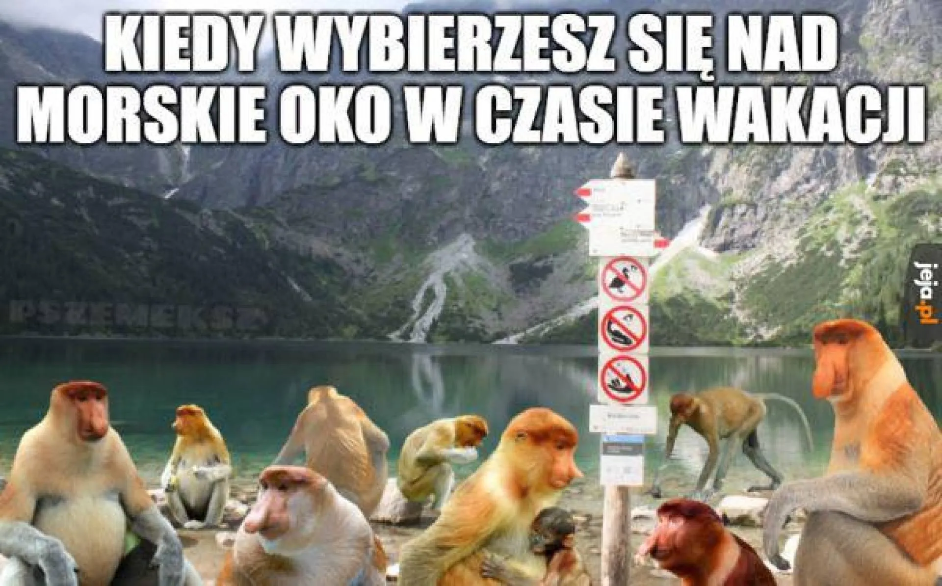 Wakacyjny wypad