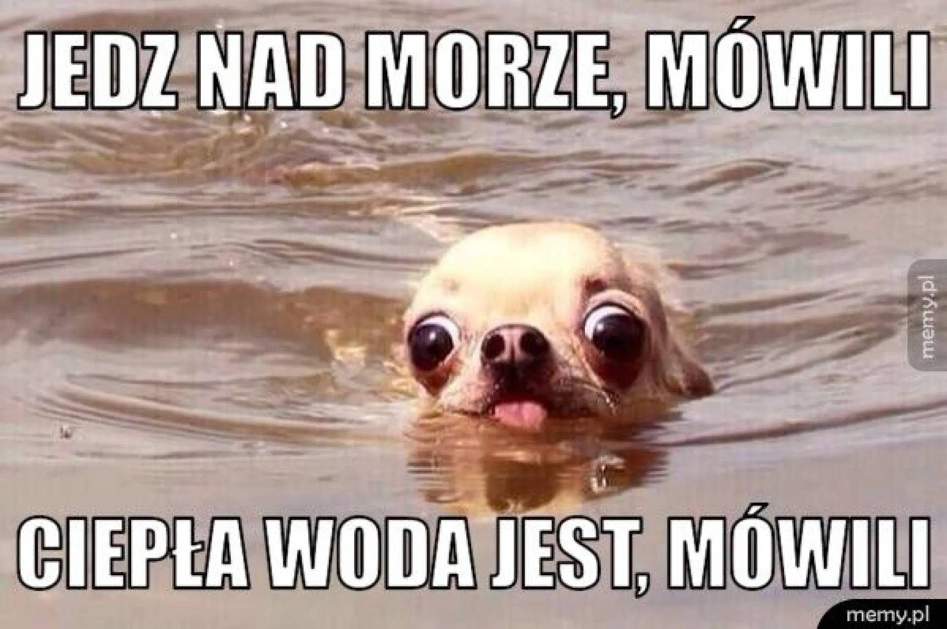 Taki mamy klimat