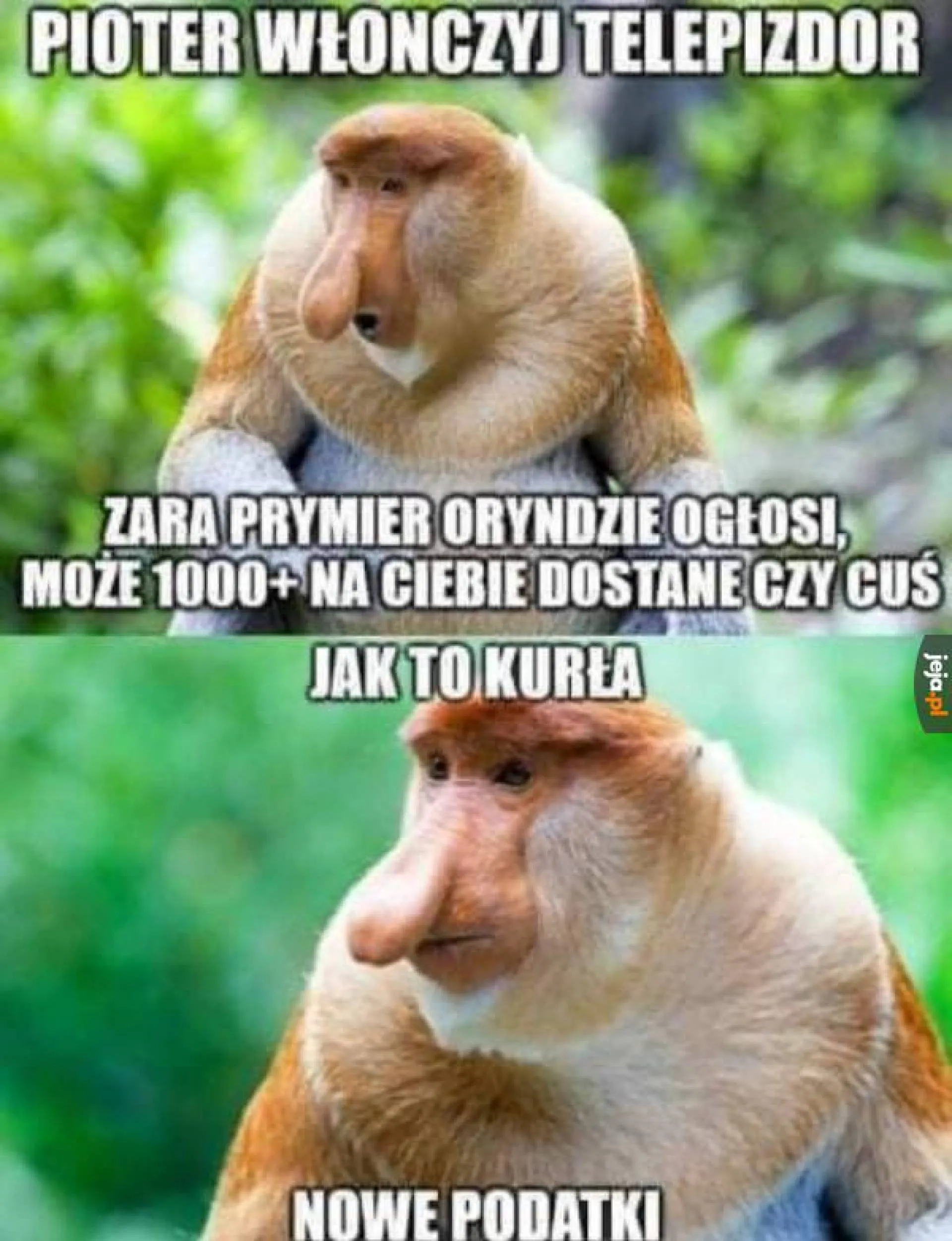 Orędzie