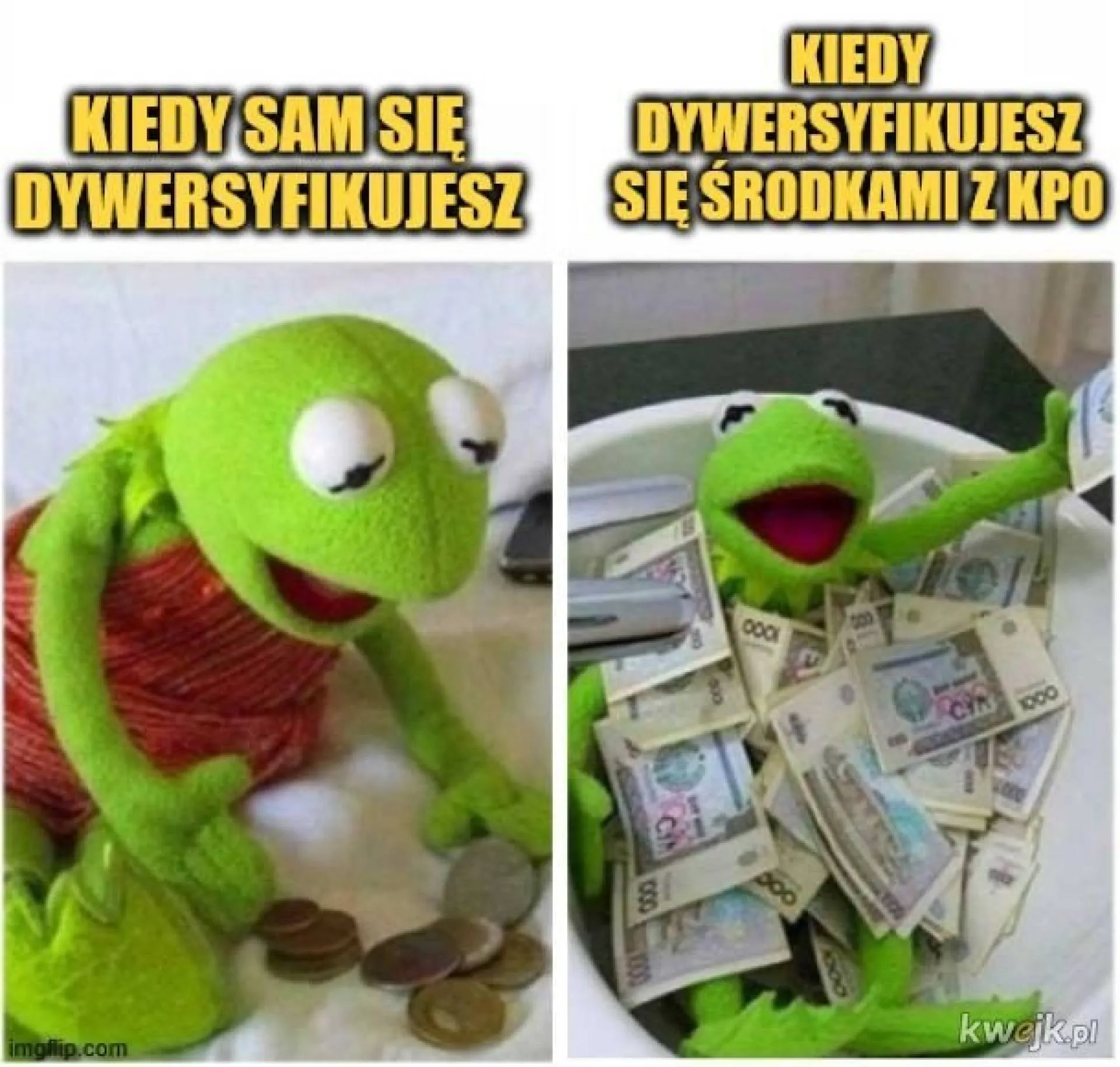 Dywersyfikacja
