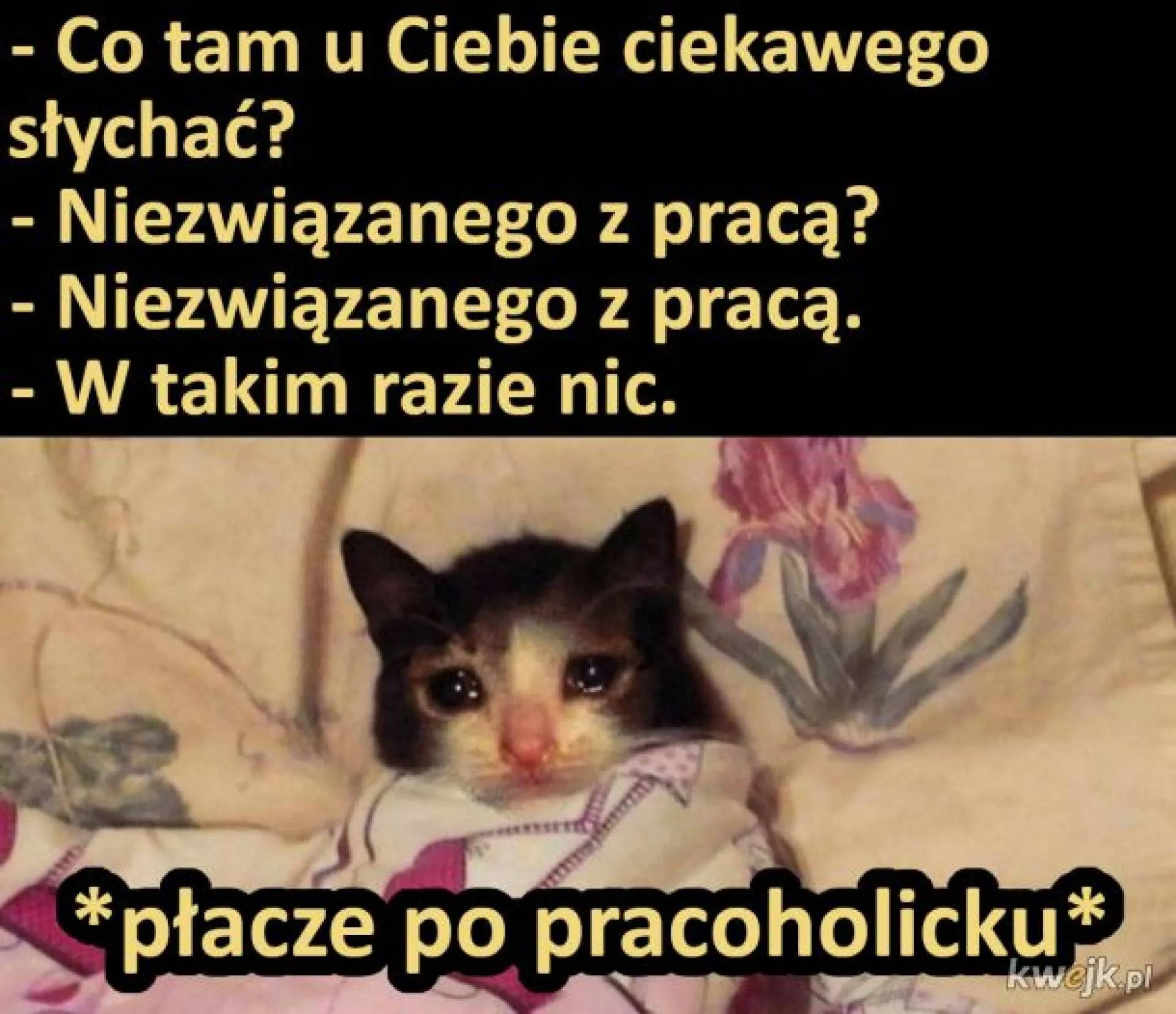 Co słychać?