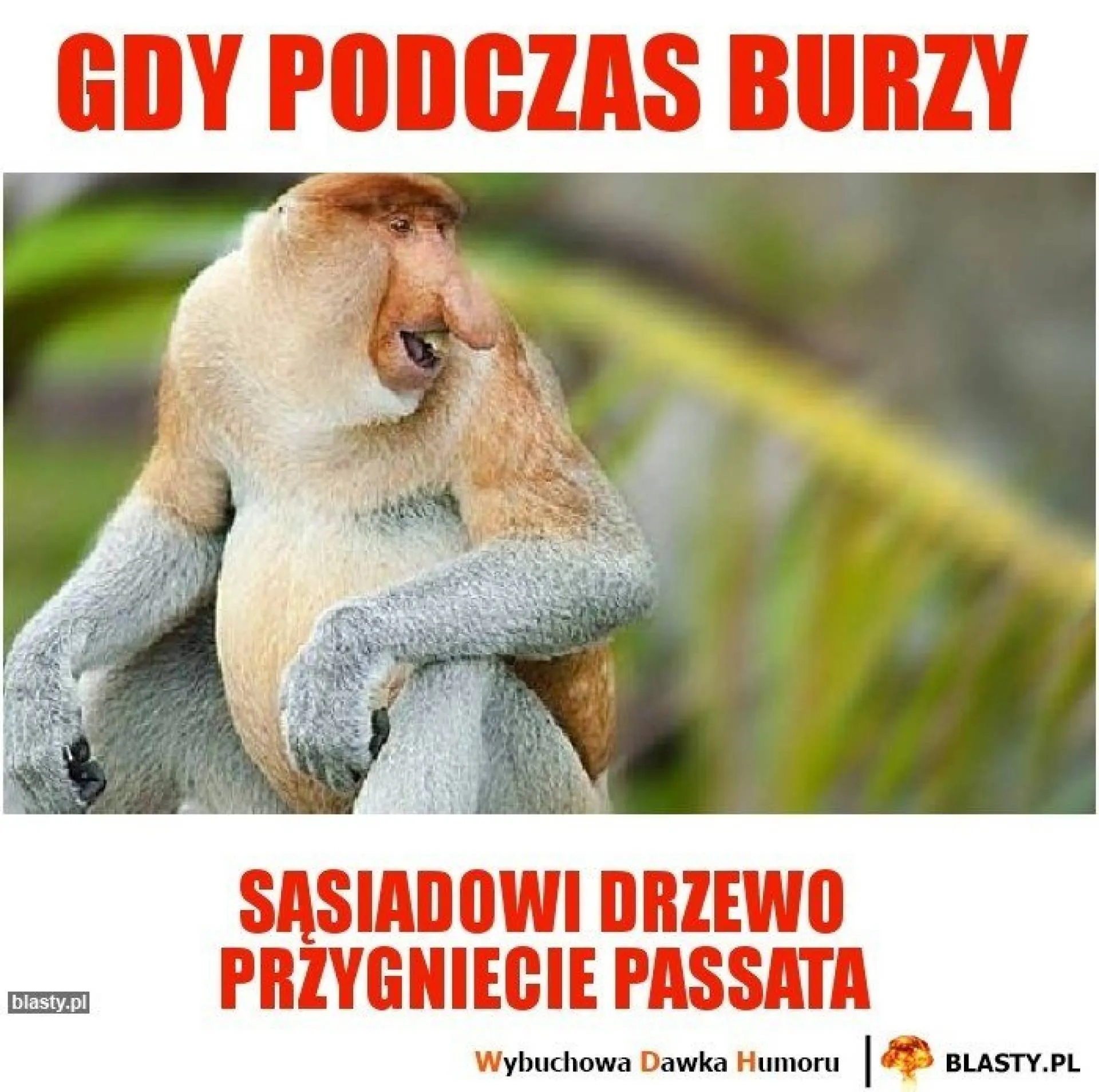Podczas burzy